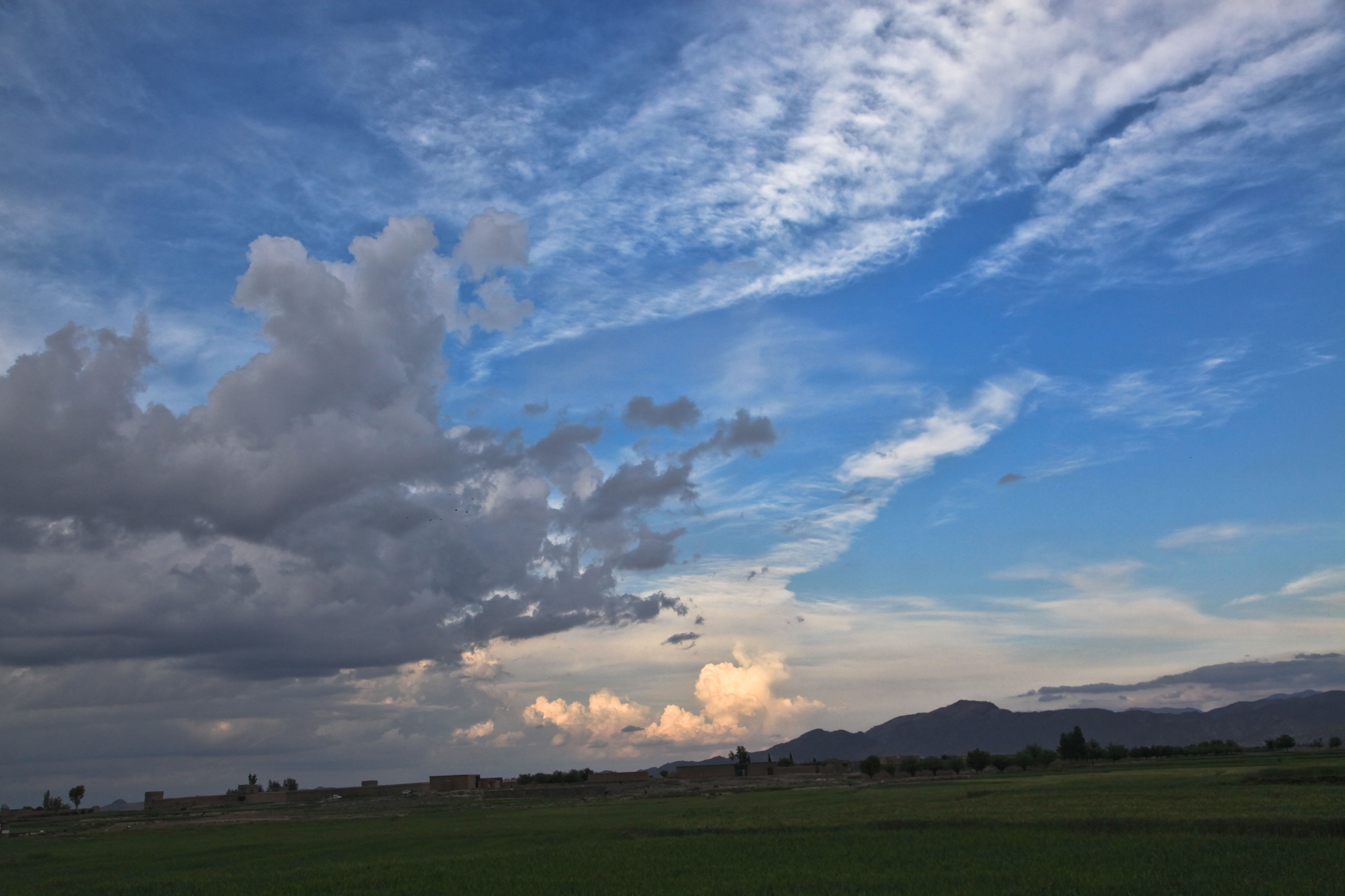 idyllic, beauty in nature, plant, field, rural scene, non-urban scene, landscape, 5K, grass, outdoors, afghanistan, no people, day, Cirrus Clouds, cloud - sky, HD Wallpaper