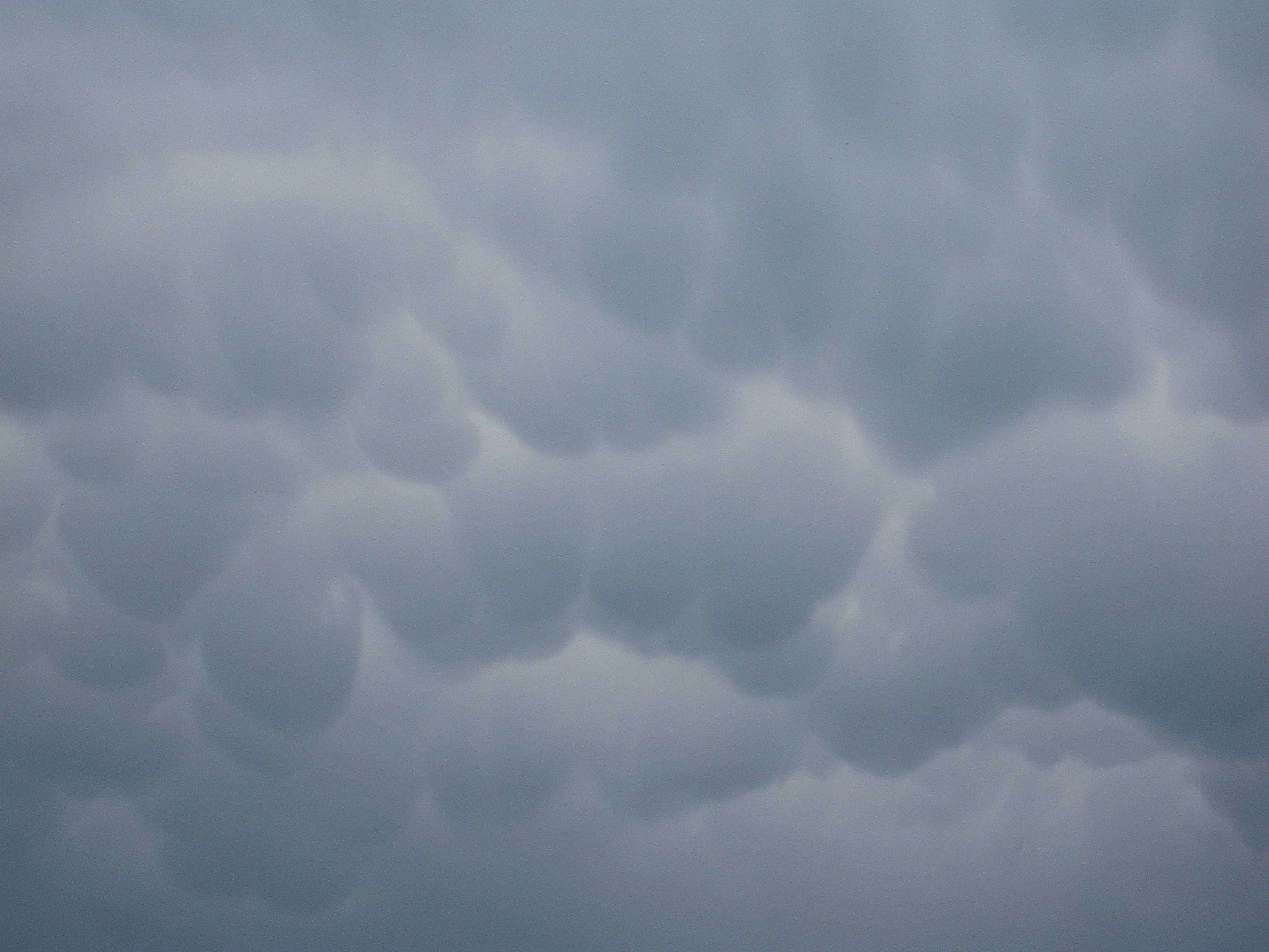 background, meteorology, storm, storm cloud, backgrounds, overcast, puffy, 2K, white, cloud - sky, beauty in nature, abstract backgrounds, cumulus, abstract, HD Wallpaper