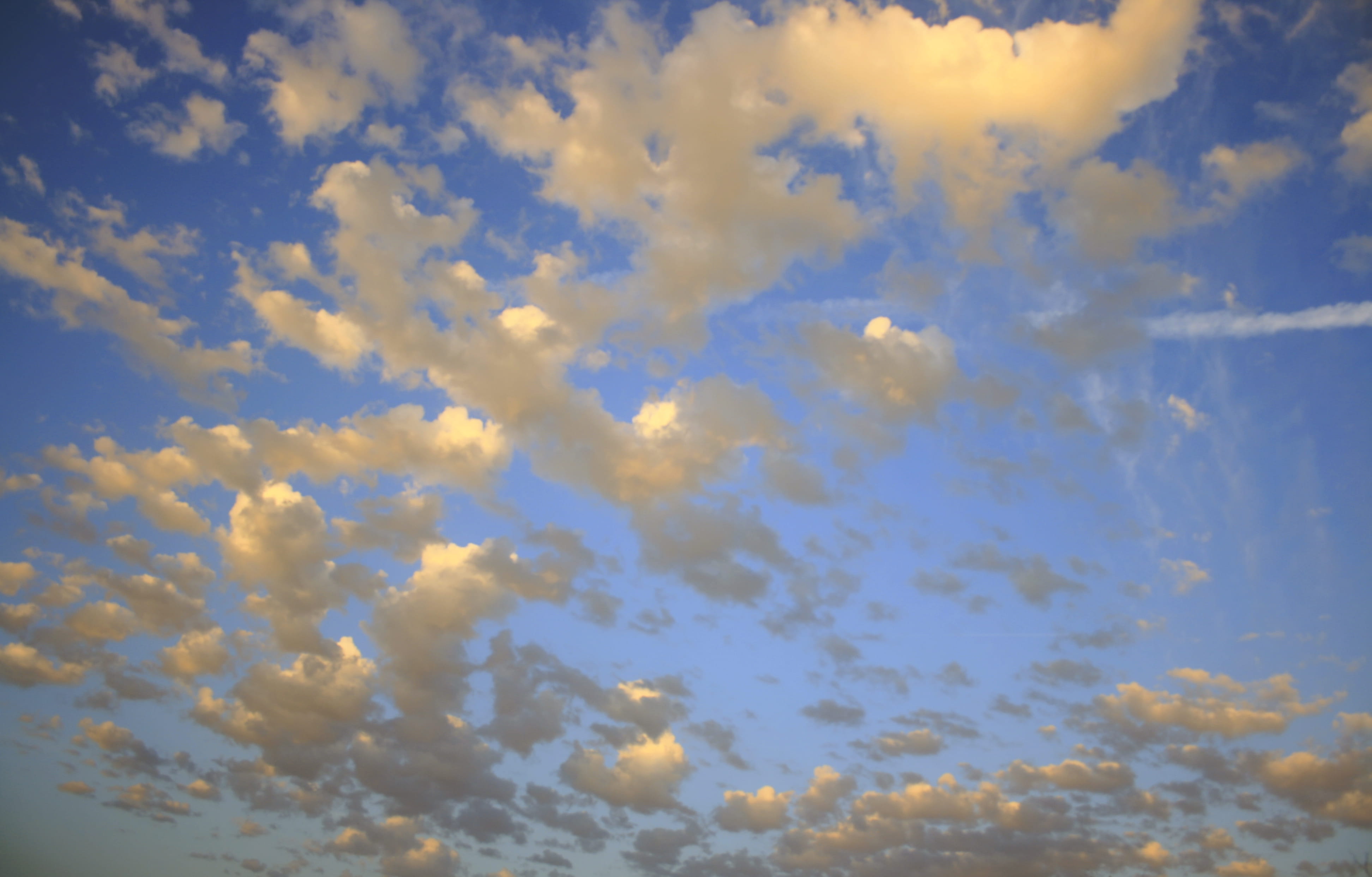 day, gloaming, yellow, 4K, cloud - sky, sunlight, meteorology, no people, blue-sky, white, idyllic, environment, tranquil scene, backgrounds, overcast, HD Wallpaper