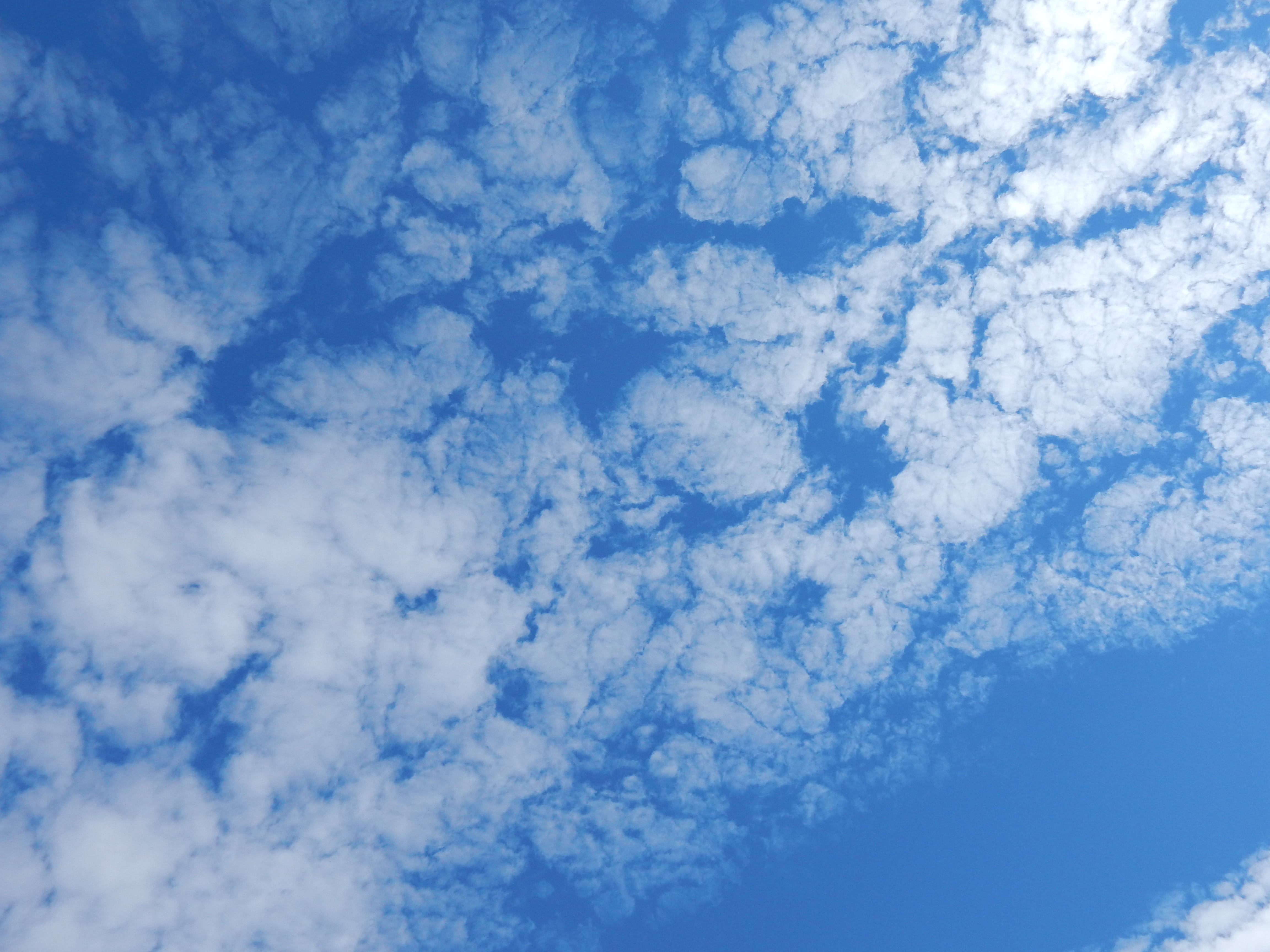 clouded, clear, low angle view, outdoors, full frame, cloudscape, sky clouds, climate, nature, no people, beauty in nature, white, cloud - sky, flying, HD Wallpaper