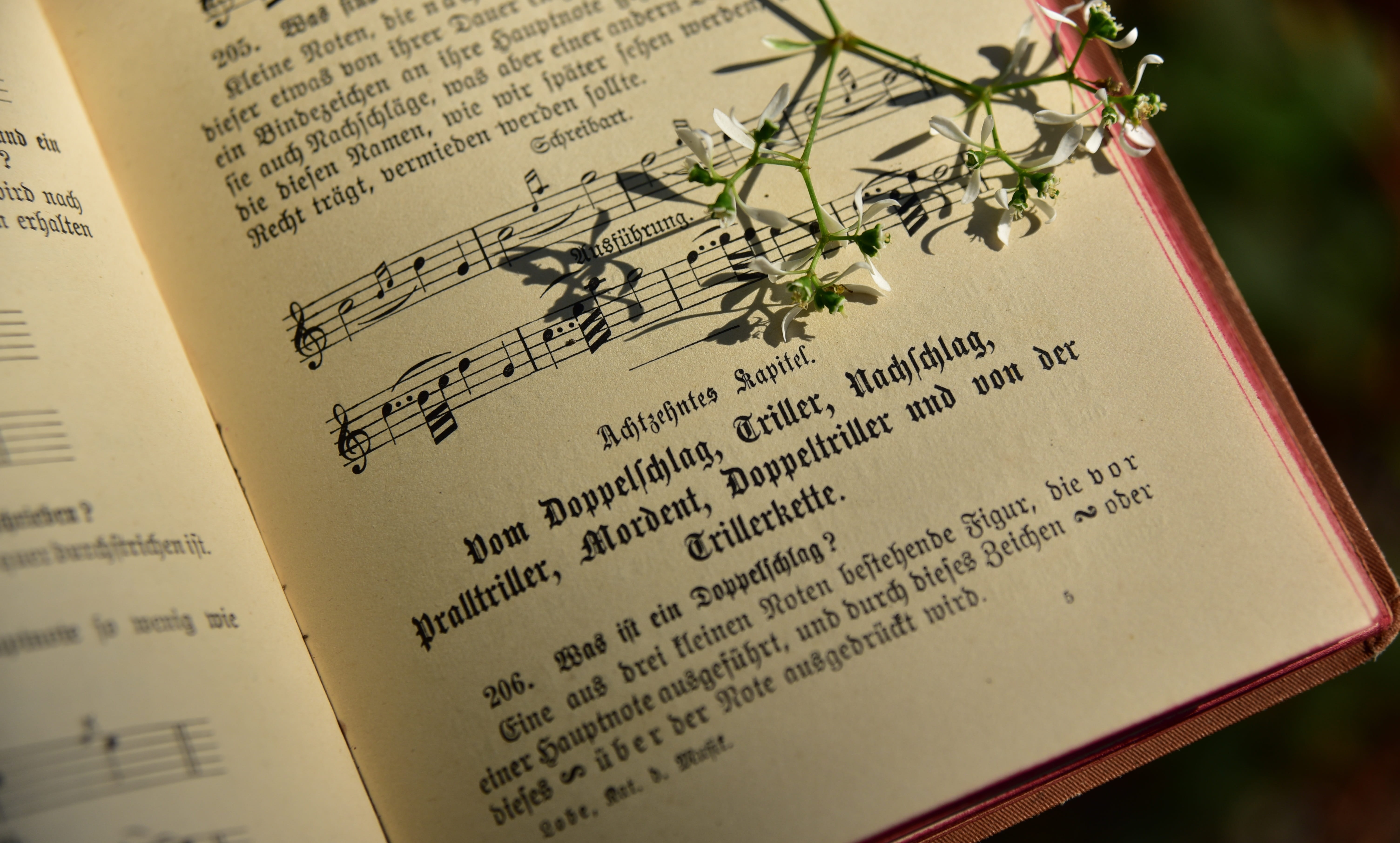 old german, still life, nostalgic, 5K, publication, book printing, bloom, indoors, literature, song book, book, close-up, pages, transient, non-western script, HD Wallpaper