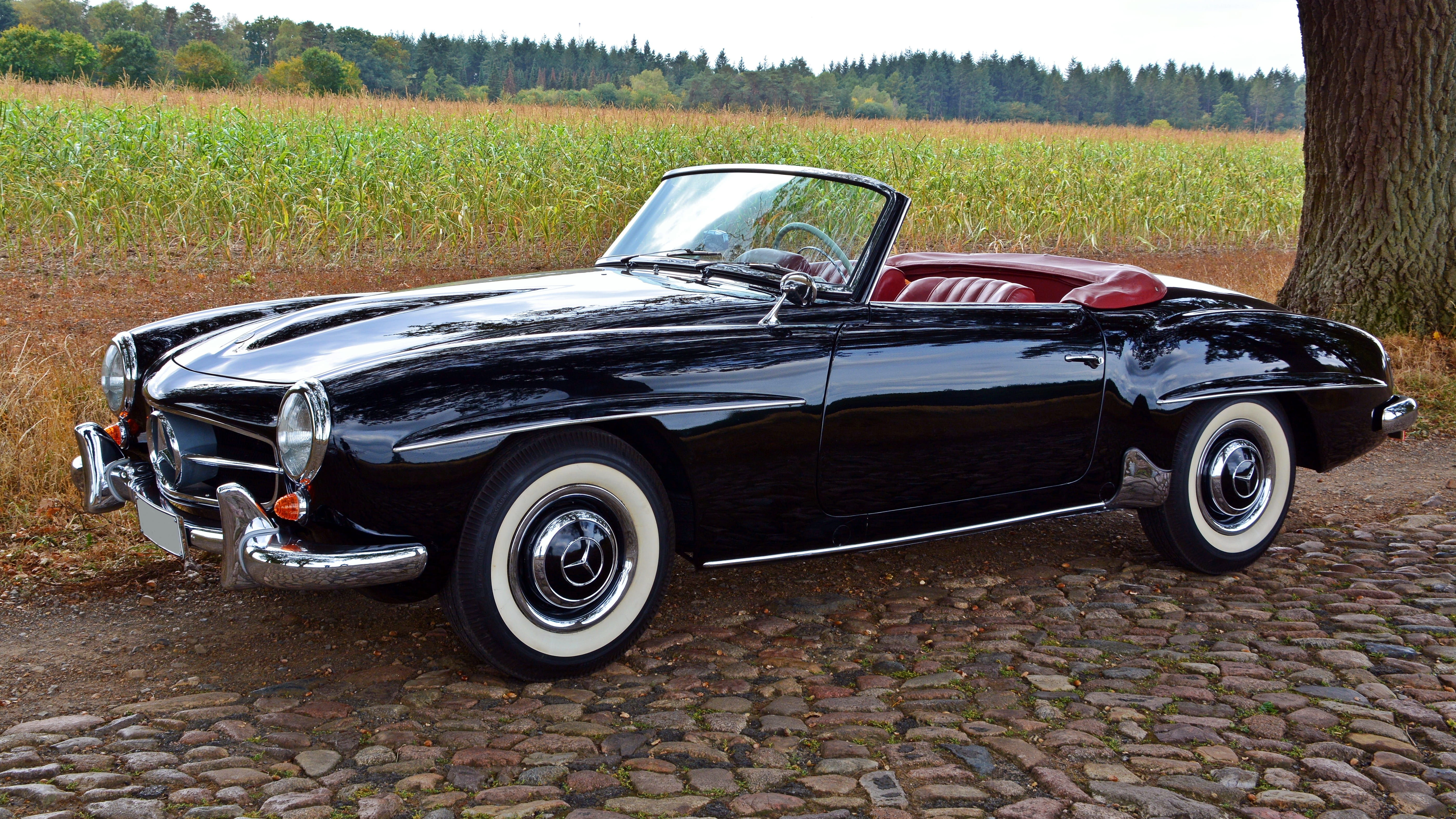 no people, car, land, 190sl, outdoors, motor vehicle, 5K, historically, land vehicle, vintage car, growth, nostalgic, cabriolet, mode of transportation, HD Wallpaper