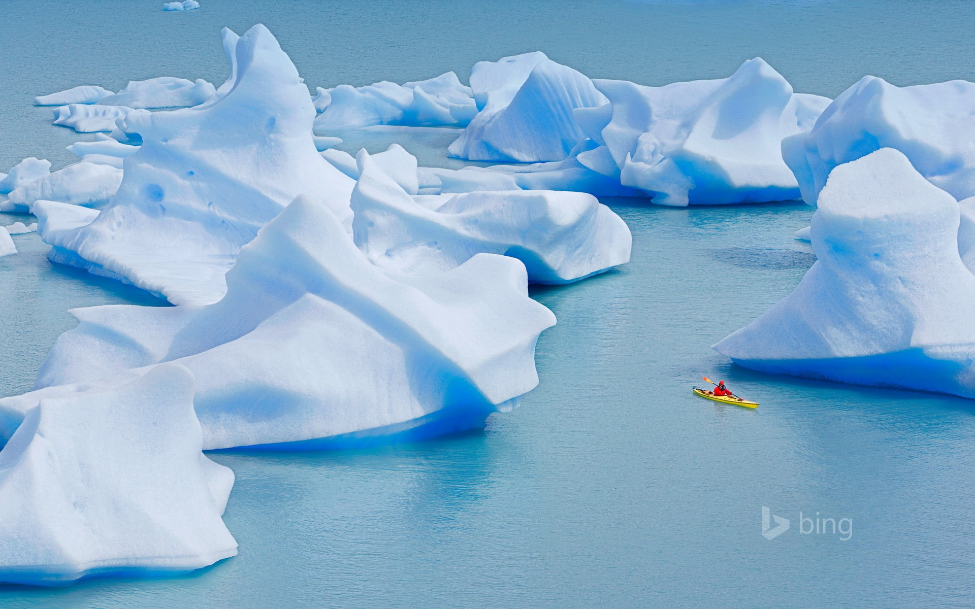 national, snow, outdoors, crosses, melting, paine, torres, 1080P, nature, ice, floating, bing, iceberg - ice formation, frozen, park, winter, floating on water, HD Wallpaper