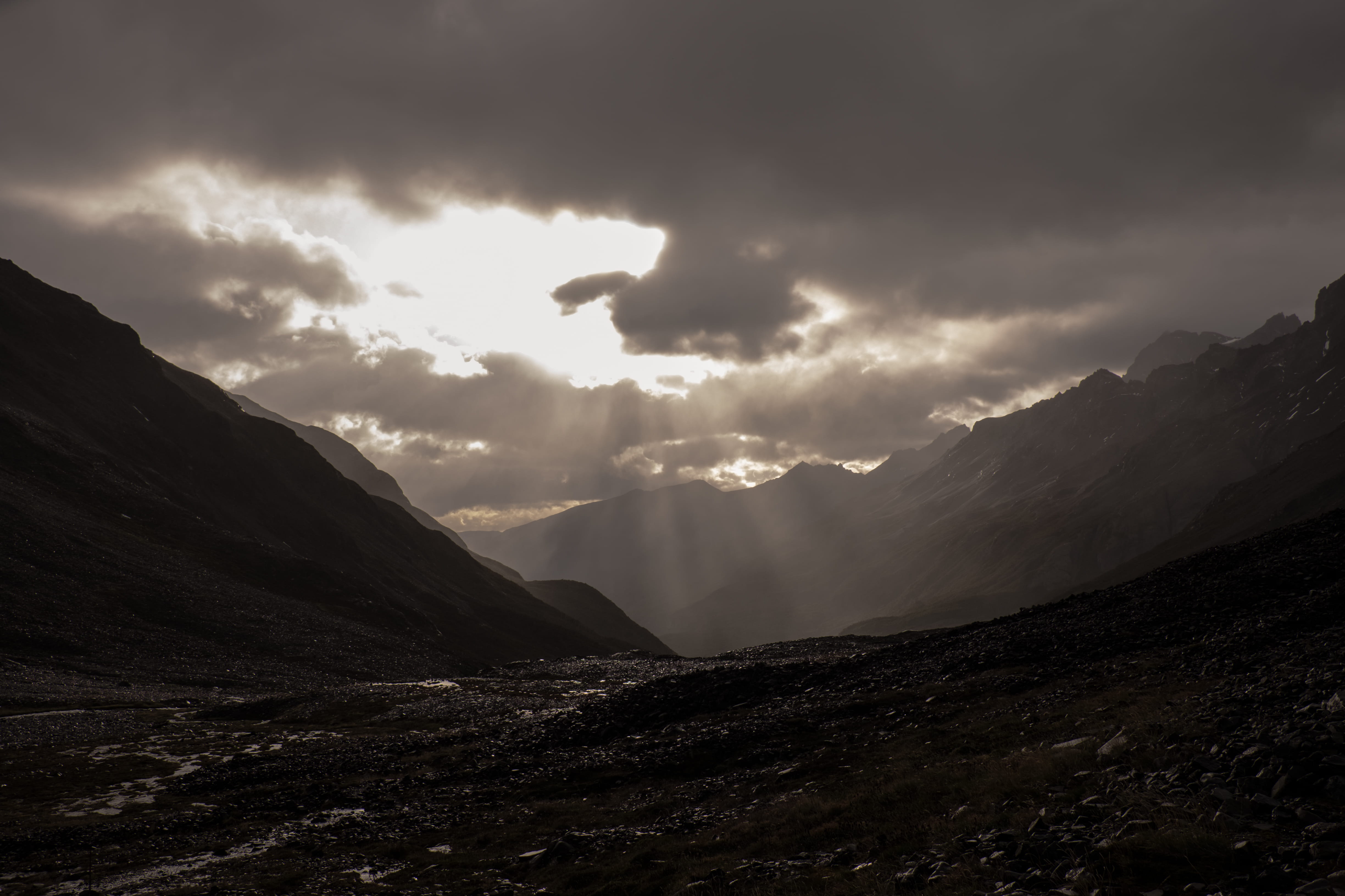 bird, no people, john gardner pass, clouds, one animal, landscape, chile, scenics - nature, non-urban scene, torres del paine national park, animal wildlife, HD Wallpaper