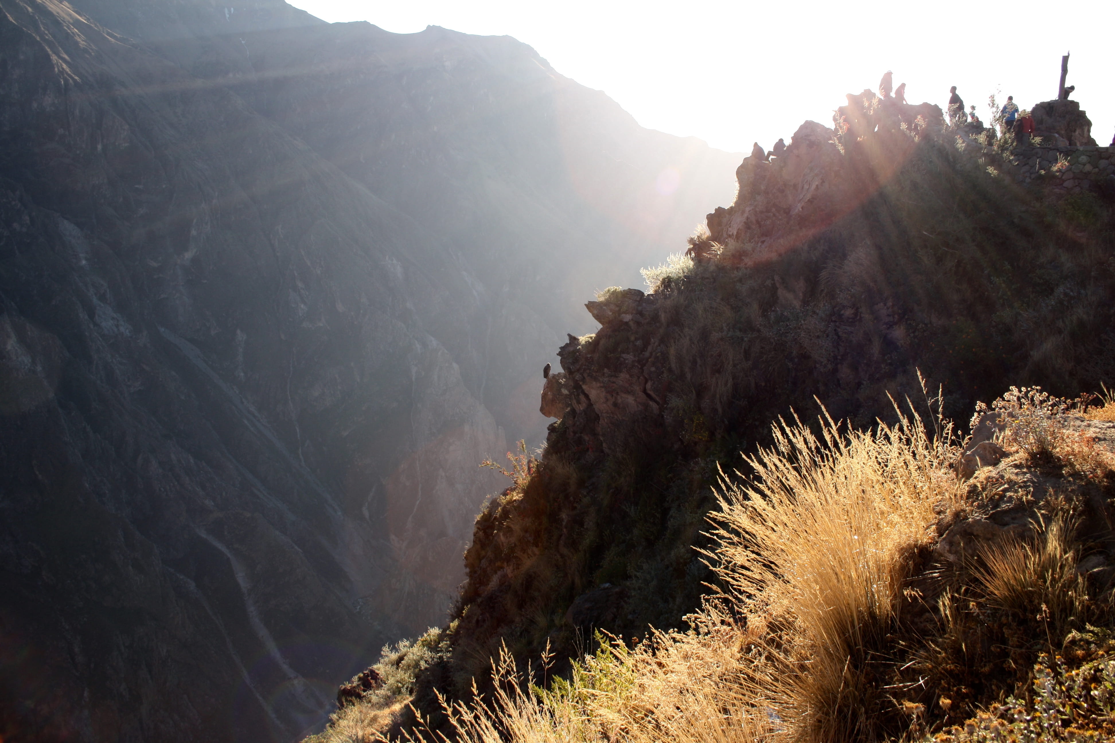 nature, no people, 4K, non-urban scene, lens flare, colca canyon, tranquil scene, condor, plant, sunbeam, fog, scenics - nature, mountain, canyon, rock, HD Wallpaper