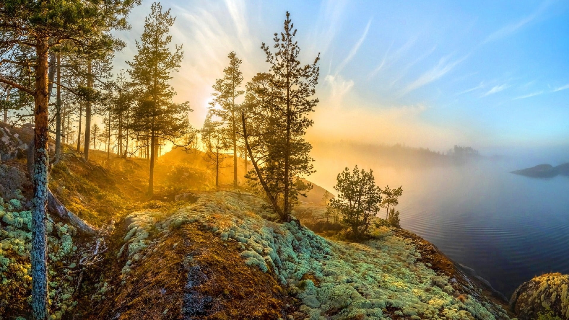 no people, plant, misty, sunlight, forest, mount scenery, water, sky, scenics - nature, landscape, tranquil scene, 1080P, tree, sunrise, idyllic, tranquility, HD Wallpaper