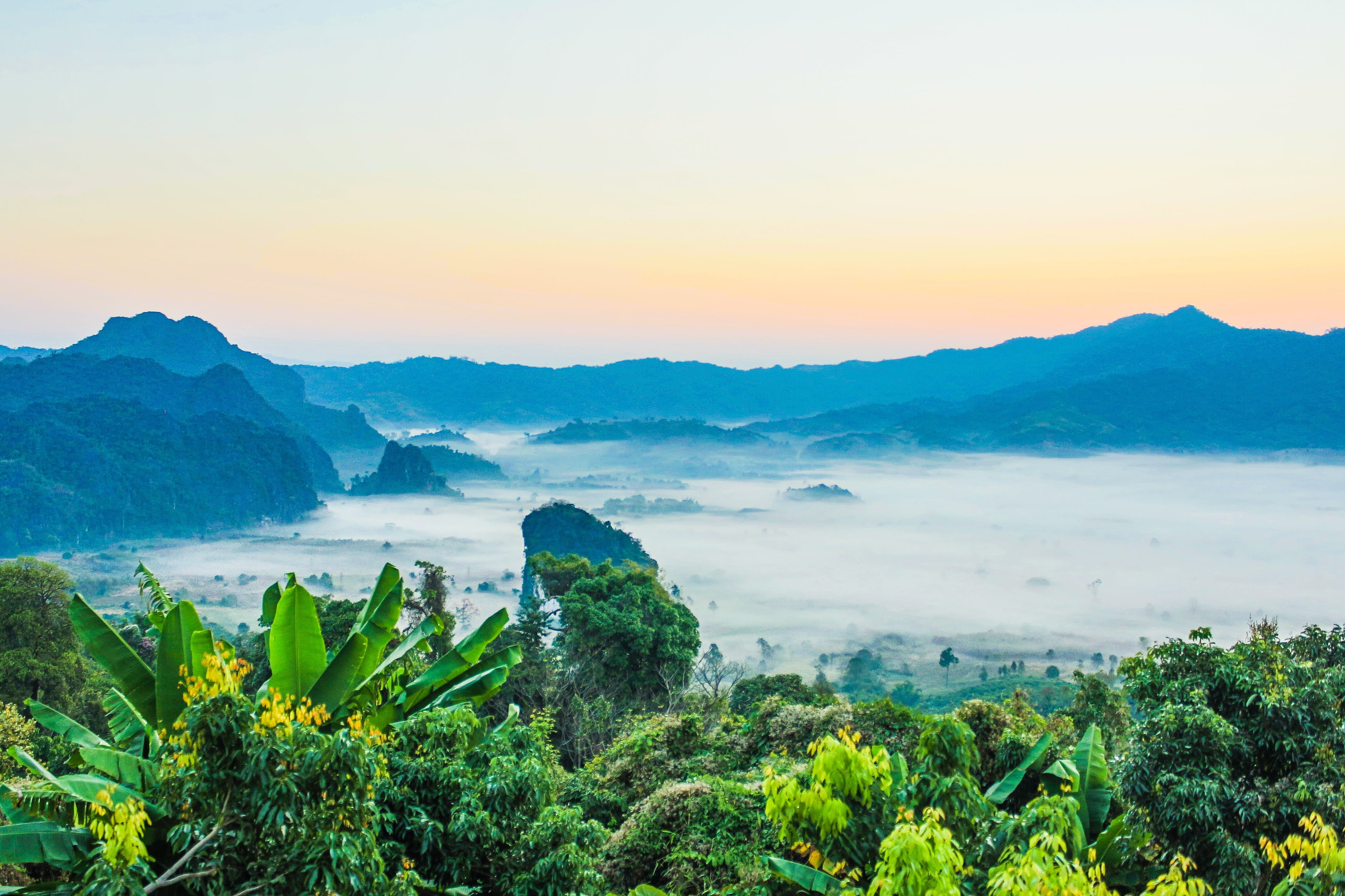 misty, outdoors, 2K, nature, plants, travel, mountain, countryside, thailand, natural, sun, idyllic, trees, murky, foggy, fresh, rock, tranquil, tranquil scene, HD Wallpaper