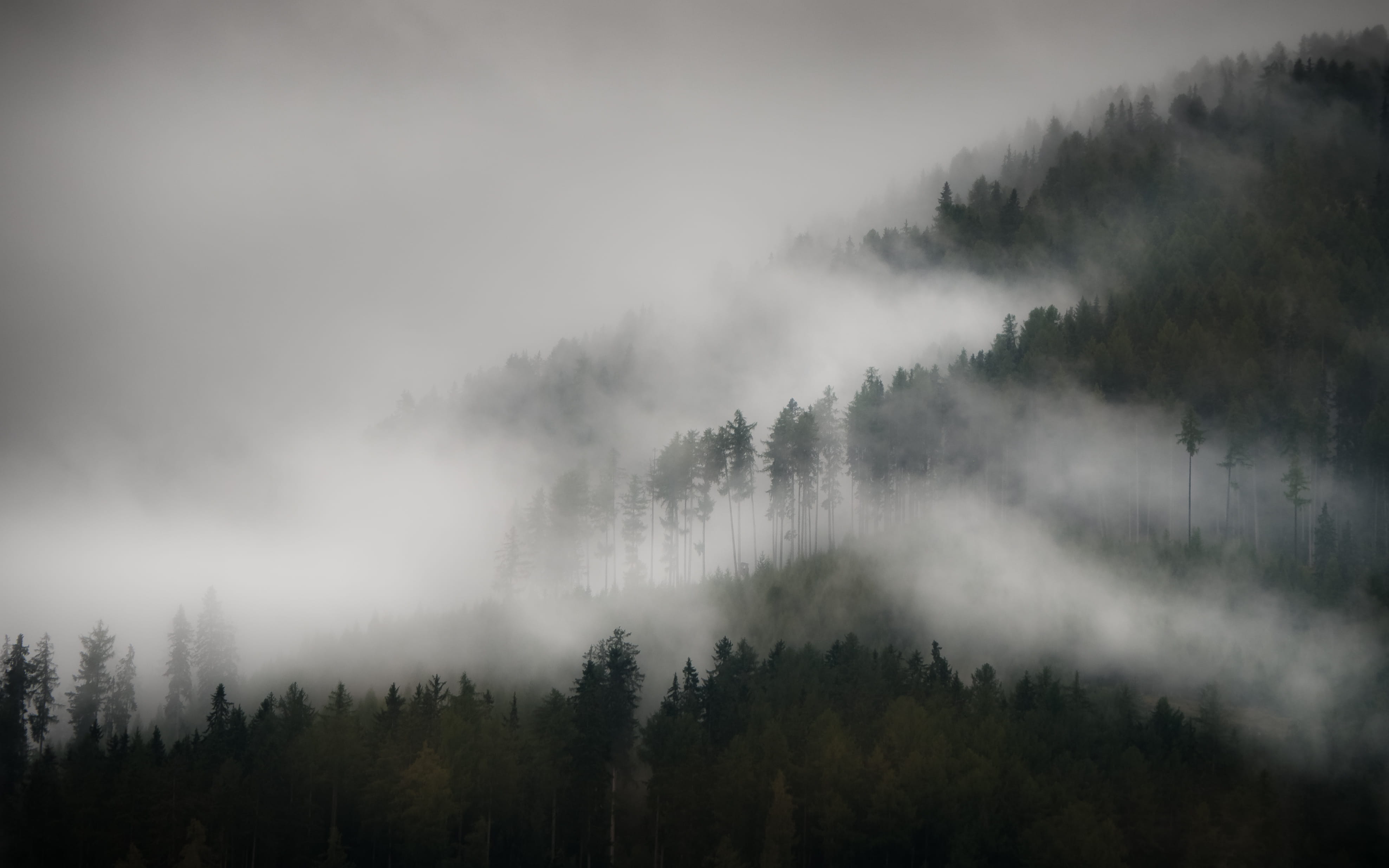 mountain, cloud - Sky, sky, Morning, overcast, plant, misty, tree, tranquility, woodland, beauty in nature, Mountains, forest, weather, trees, landscape, HD Wallpaper