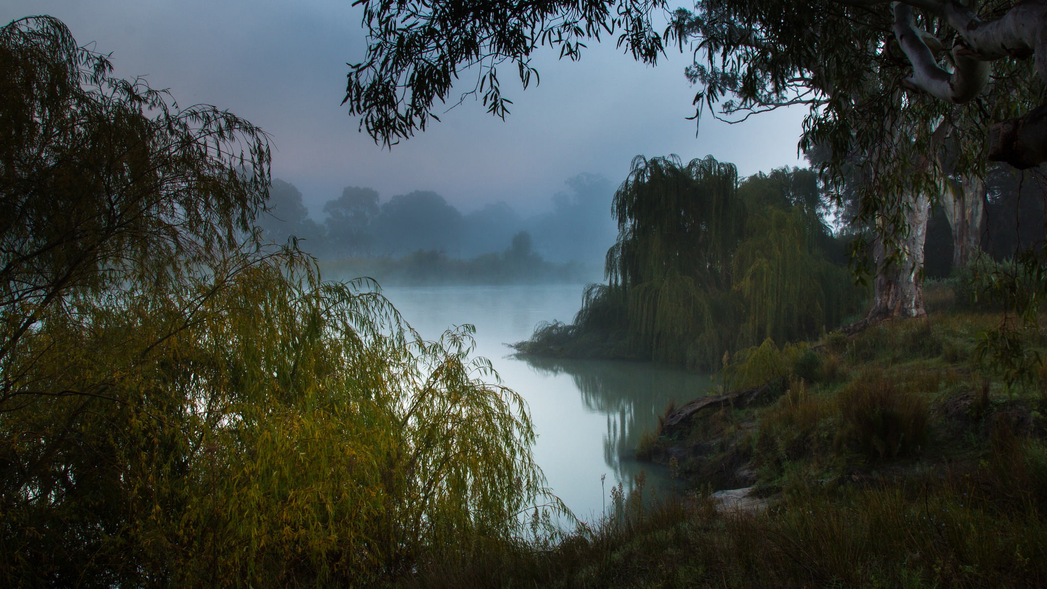 the Murray river, South Australia, 1080P, misty morning, HD Wallpaper
