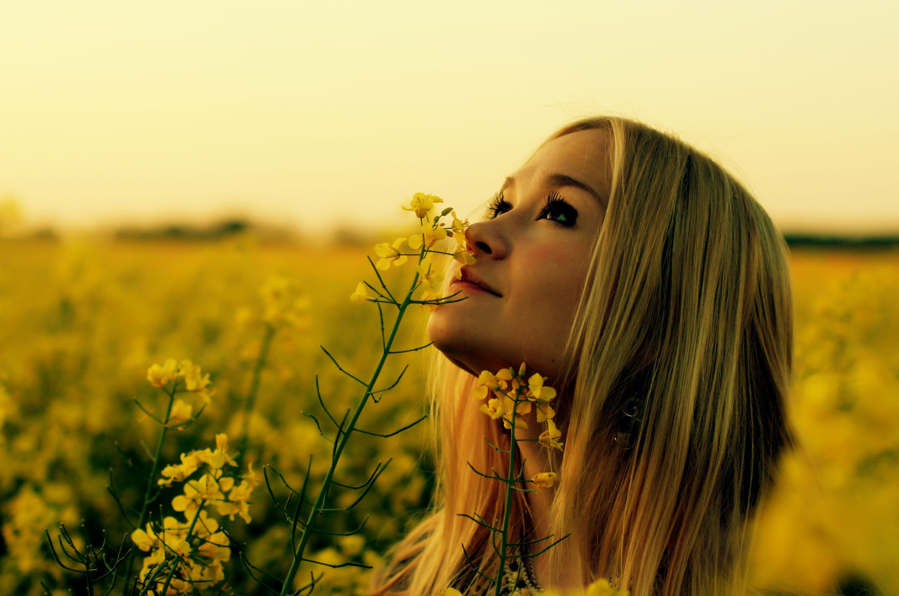land, flower, women outdoors, nature, hair, women, Rapeseed, field, agriculture, yellow, beauty in nature, lifestyles, young adult, flowering plant, plant, HD Wallpaper