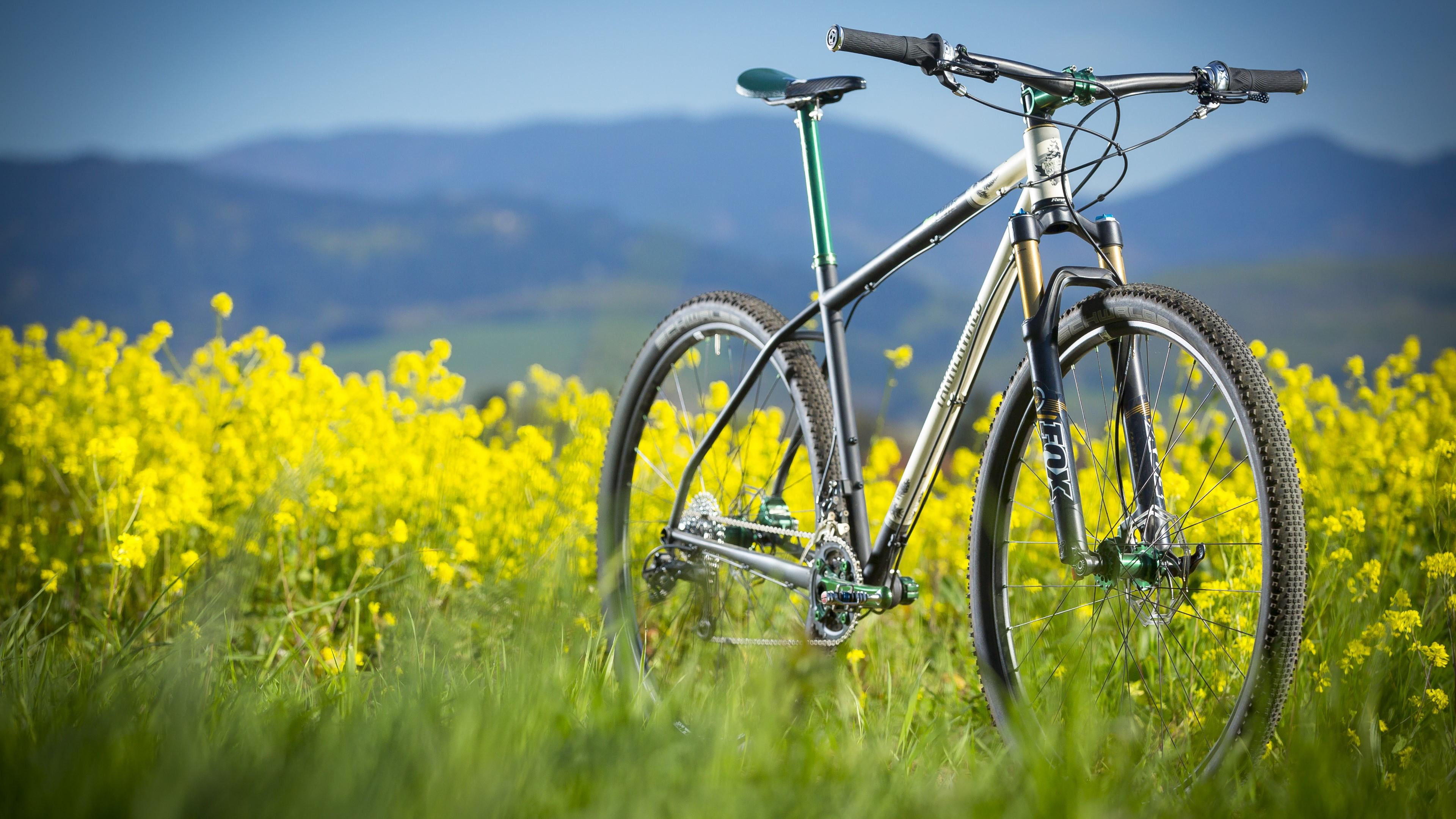 bicycle, land, meadow, wheel, outdoors, morning, 4K, day, rural scene, land vehicle, landscape, flower field, growth, mode of transportation, field, plant, HD Wallpaper