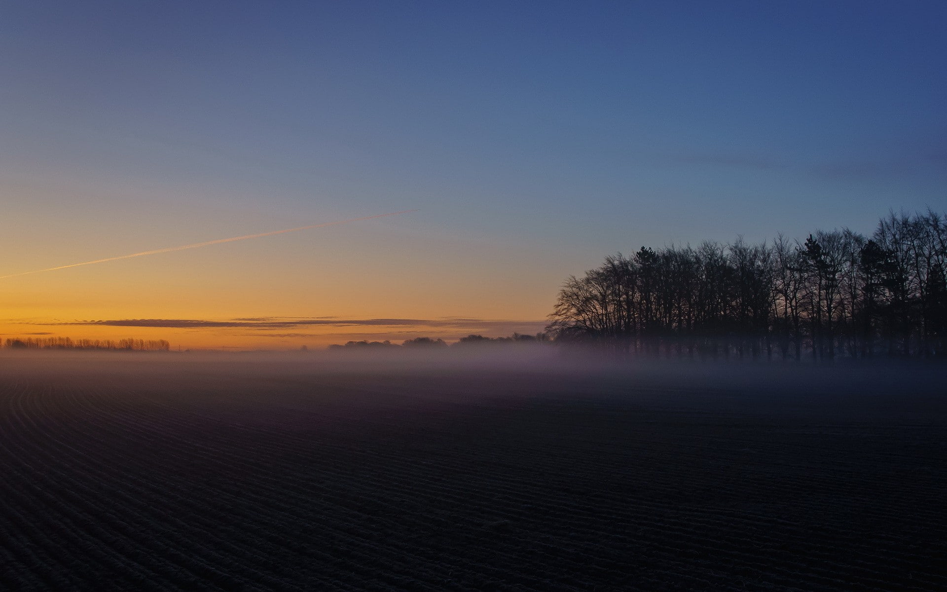 mist, plains, sunrise, field, 1080P, landscape, orange sky, HD Wallpaper