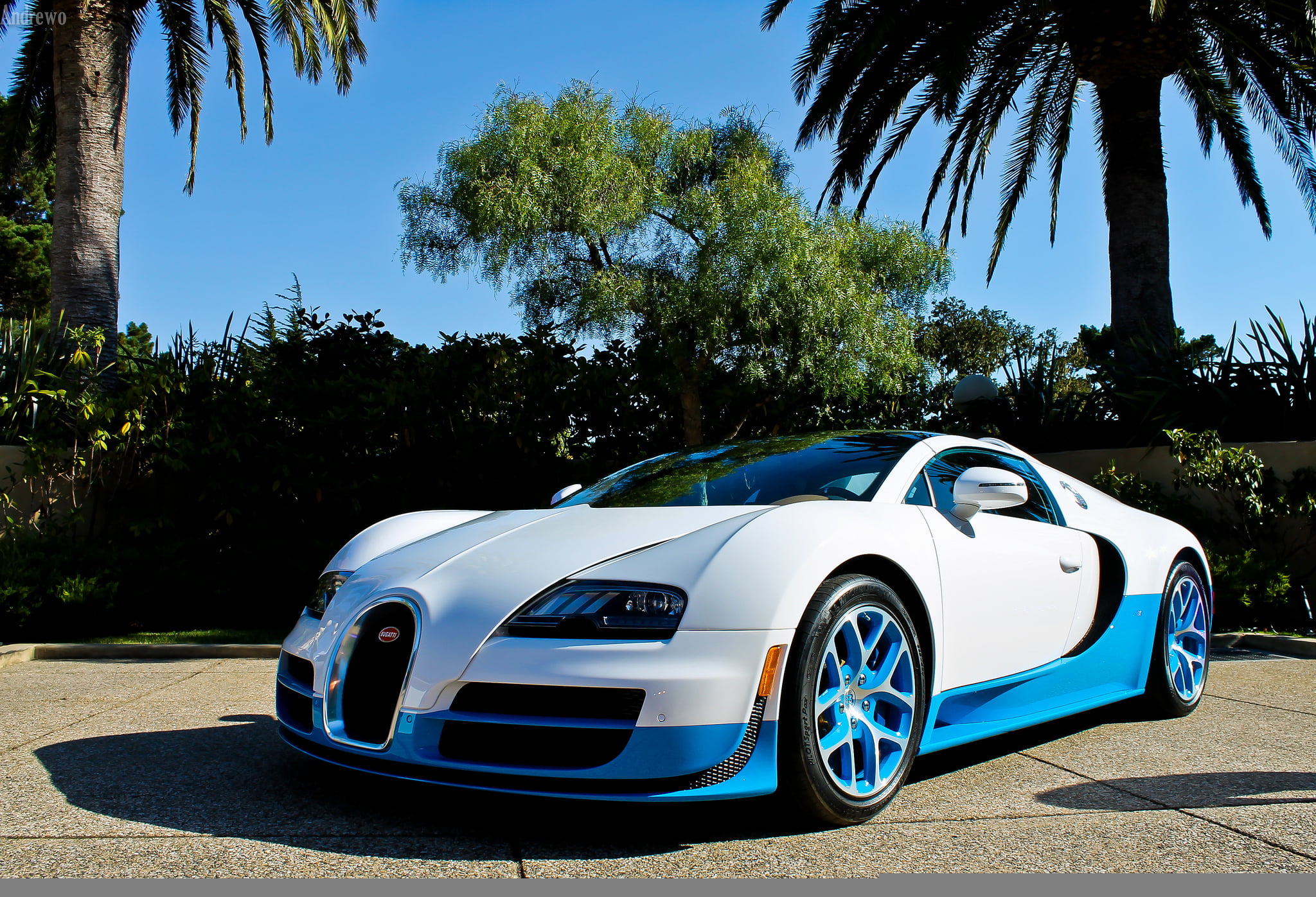 1080P, transportation, day, tree, wheel, coupe, blue, nature, modern, veyron, clear sky, sky, car, no People, vitesse, speed, status Car, white, sports Car, HD Wallpaper