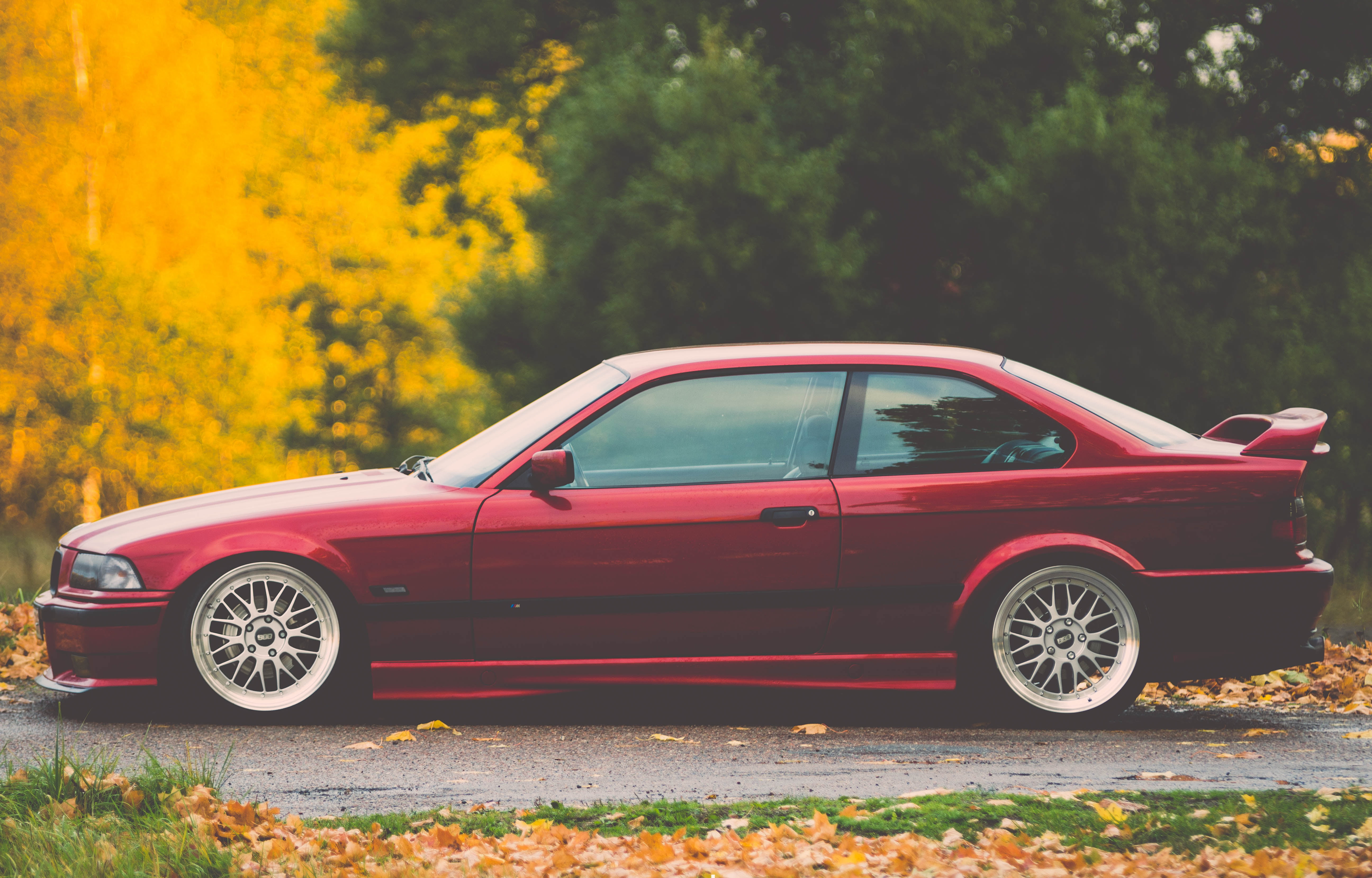 plant, city, rural Scene, street, speed, tree, motor Vehicle, change, retro Styled, land Vehicle, shiny, outdoors, sports Car, stationary, coupe, transportation, HD Wallpaper