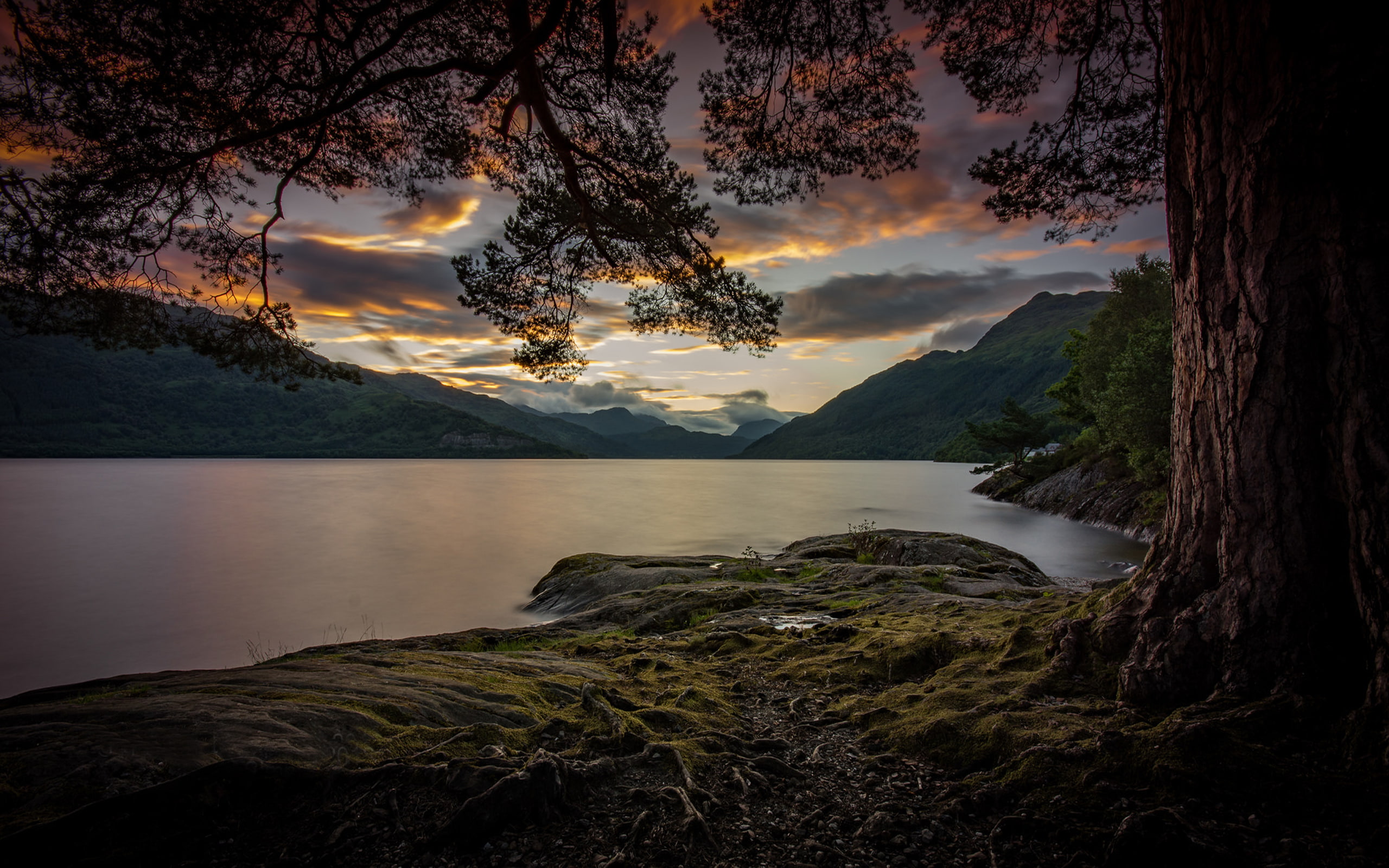blackout, tree, clouds, night, dark, 2K, sky, lake, falling, landscape, HD Wallpaper