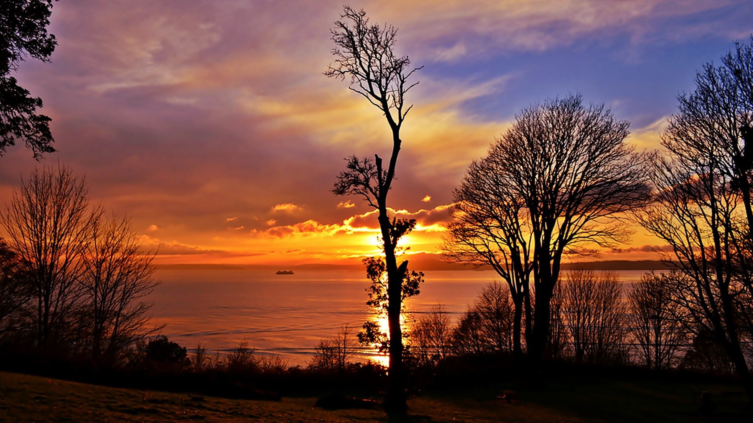 lake, 2K, sunset, trees, blackout, HD Wallpaper