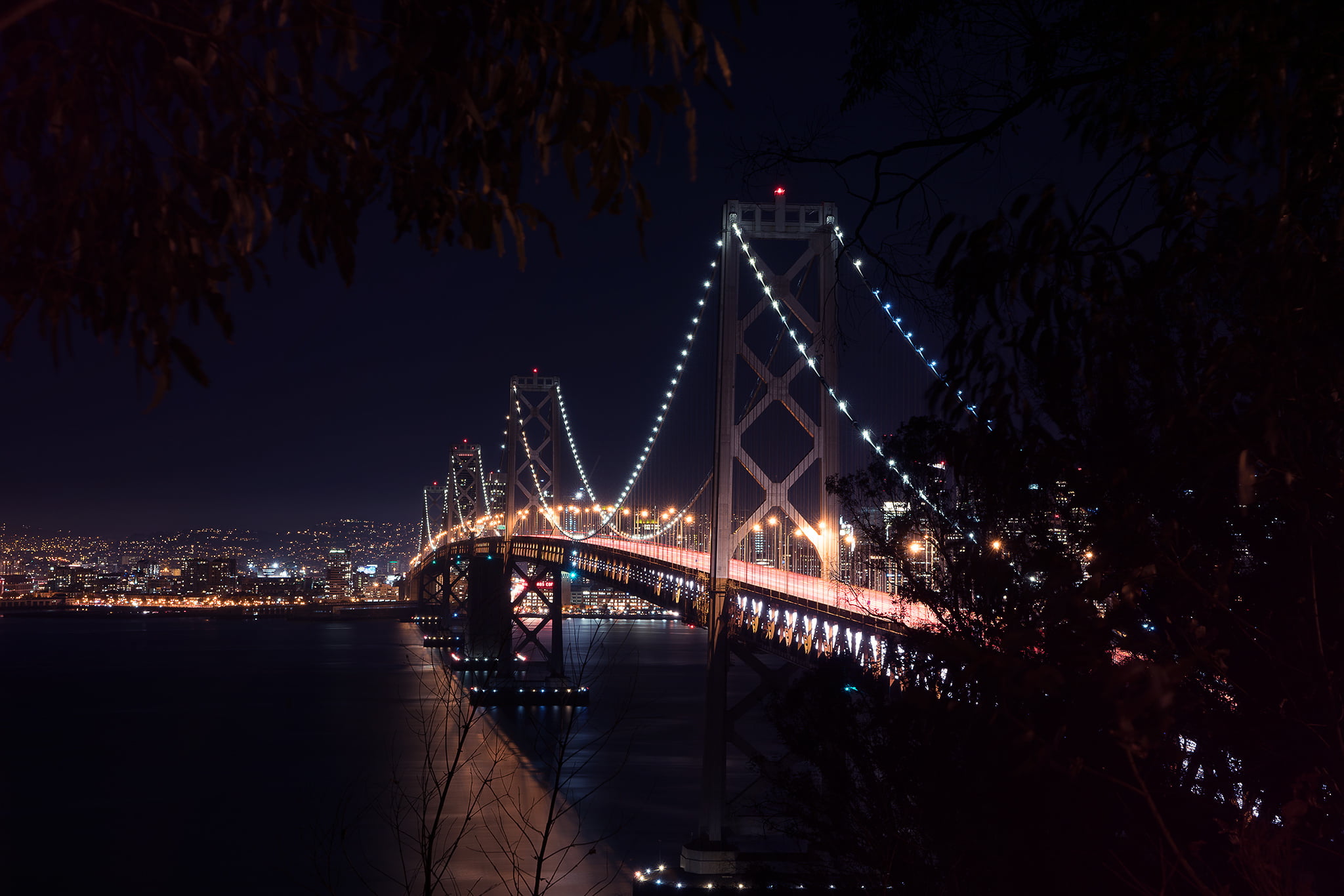 travel destinations, water, West, Architecture, bridge, plant, light, nature, Bay Bridge, tree, Landscape, river, suspension bridge, San-Francisco, outdoors, HD Wallpaper