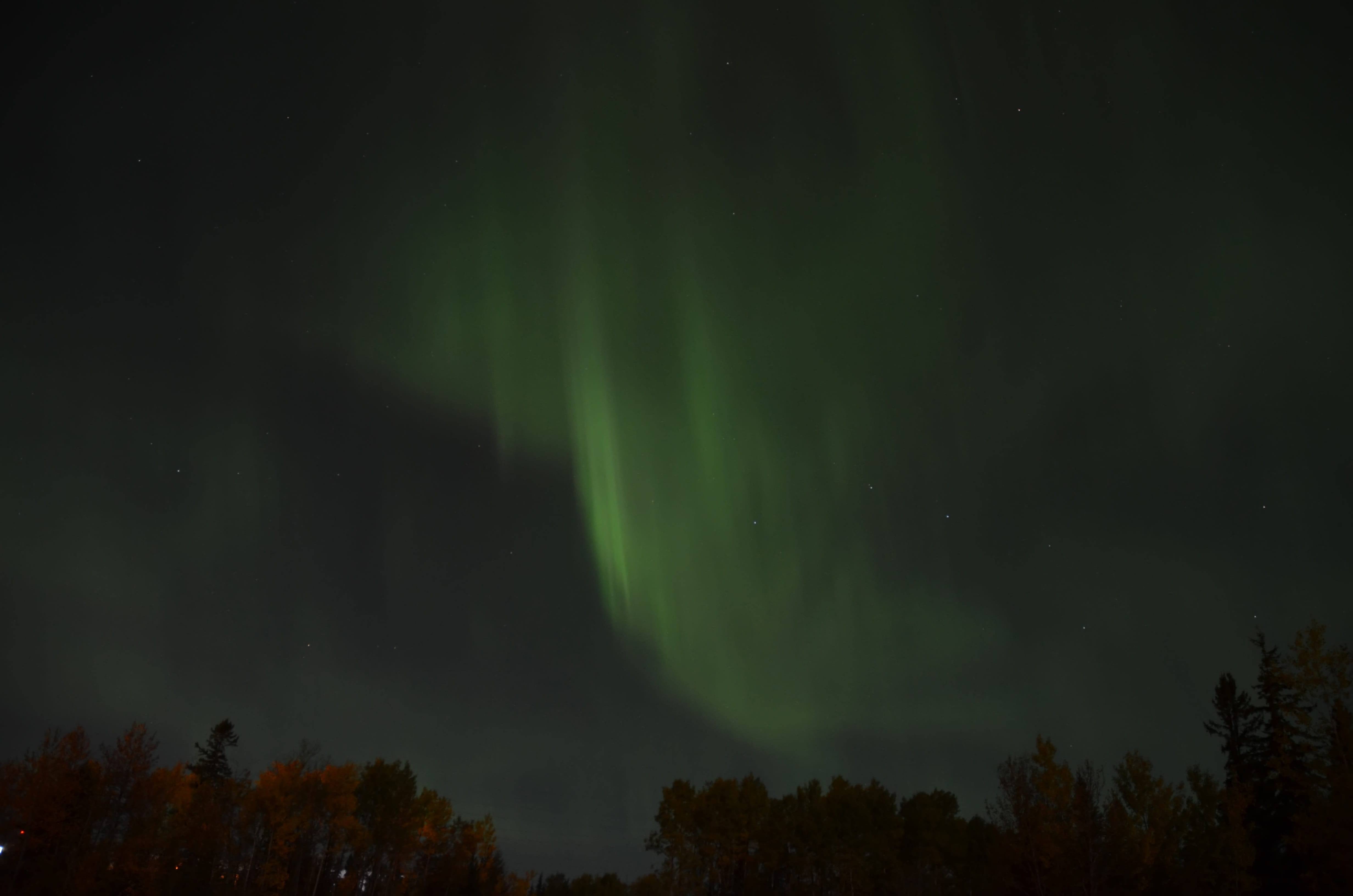 space, no people, beauty in nature, green, tree, aurora, nature, lights, canada, aurora polaris, tranquility, ontario, natural, dancing, astronomy, swirl, HD Wallpaper
