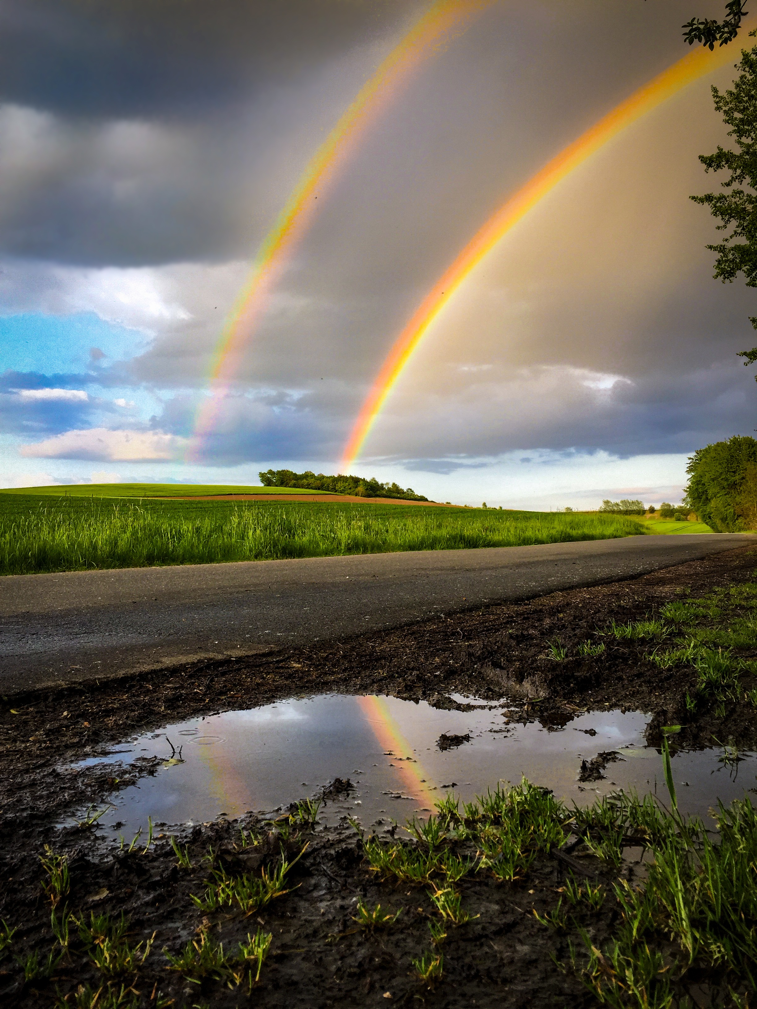 thunderstorm, scenics - nature, gewitterstimmung, water, multi colored, storm, beauty in nature, wheat, lighting, plant, mood, landscape, idyllic, sky, Phone HD Wallpaper