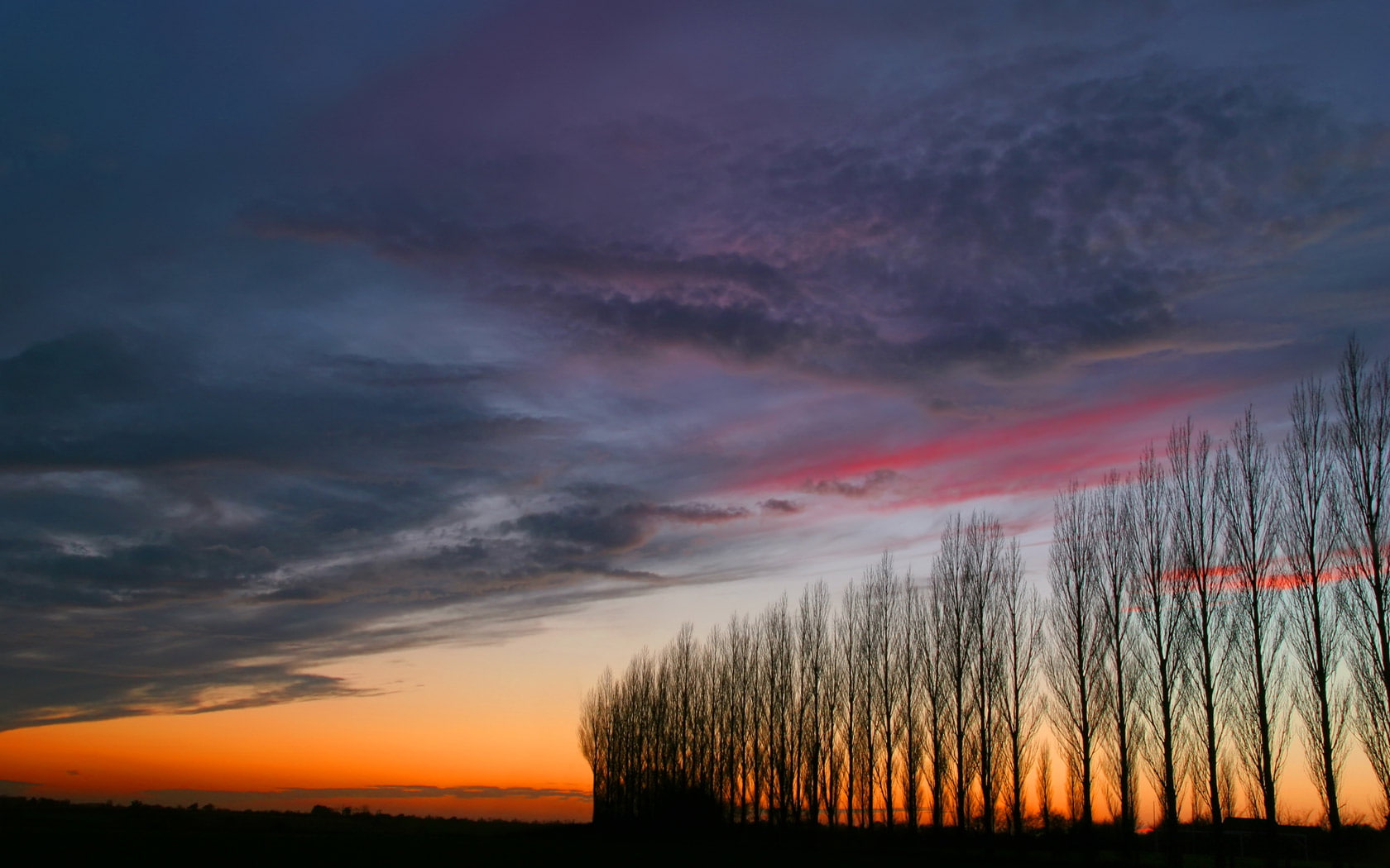 sky, trees, silhouette, photo, hd, moody, 720P, nature, landscape, HD Wallpaper