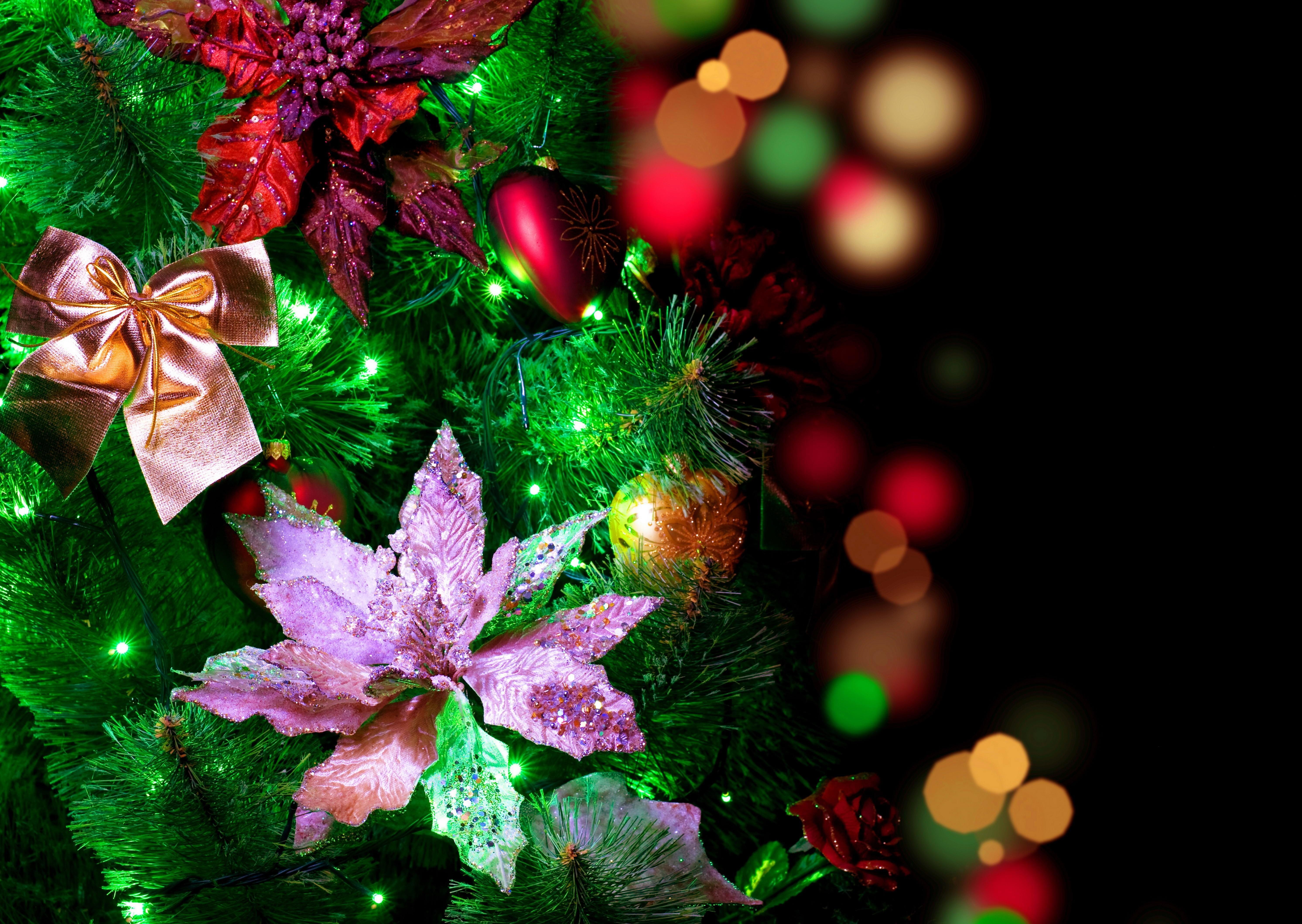 knot, 5K, rbow, christmas, christmas tree, garland, tree, flickering, flowers, rbow-knot, HD Wallpaper
