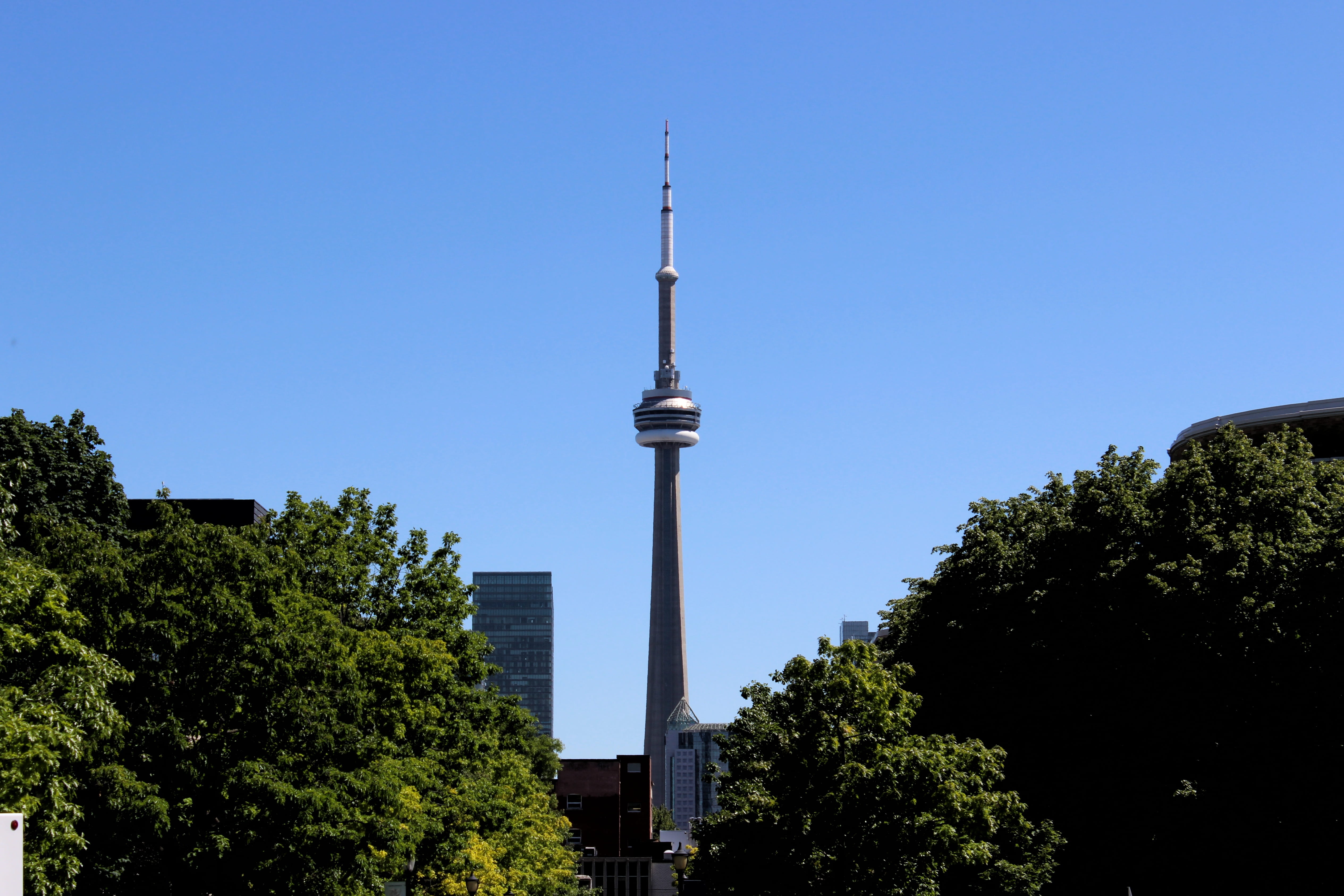 tourism, spire, canada, summer, skyscraper, day, bldg, cn tower, plant, university of toronto - st. george campus, travel destinations, uoft, canada, HD Wallpaper