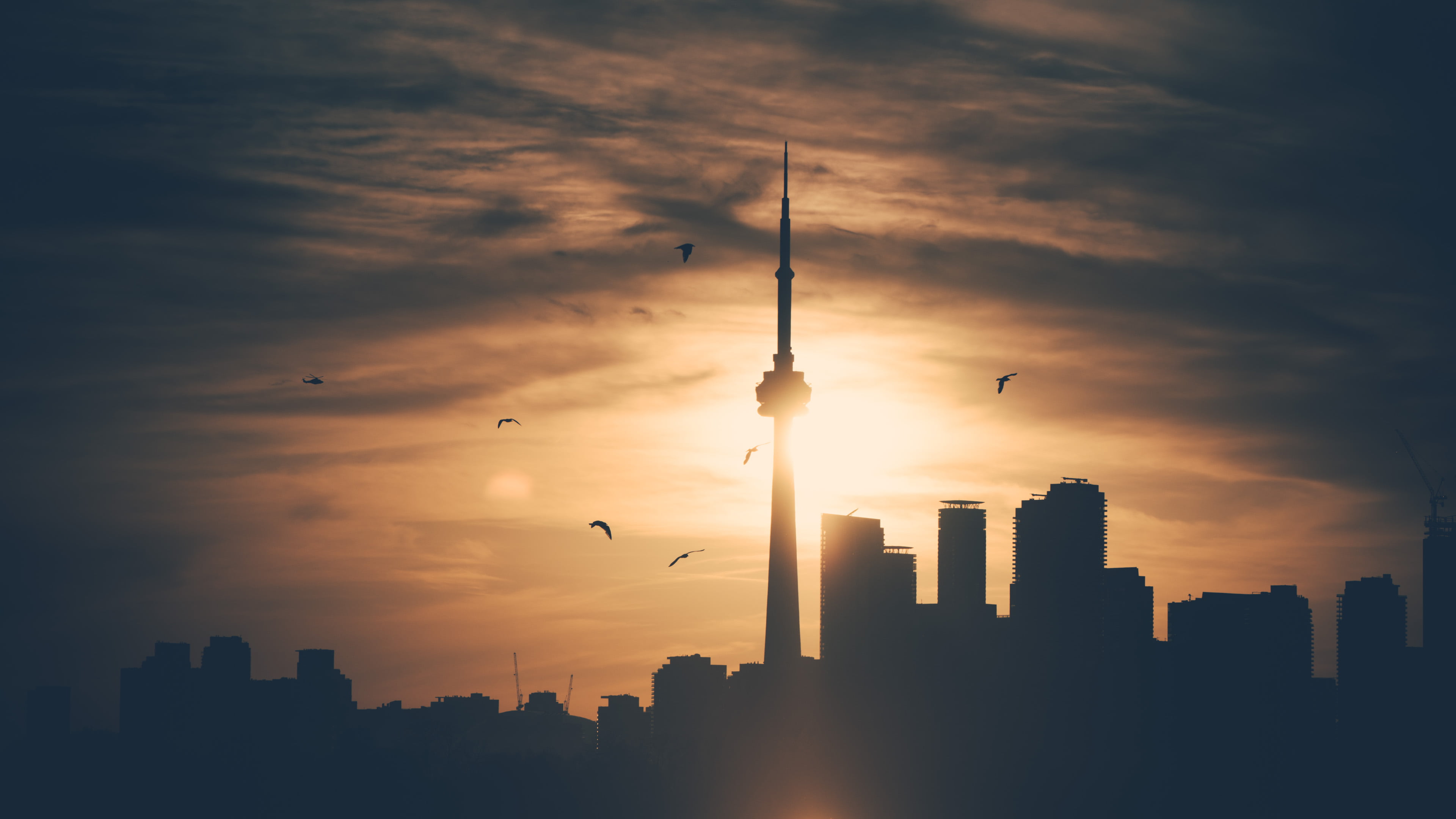 4K, Toronto, birds, skyscraper, 4K, CN Tower, skyline, silhouette, clouds, sunset, HD Wallpaper