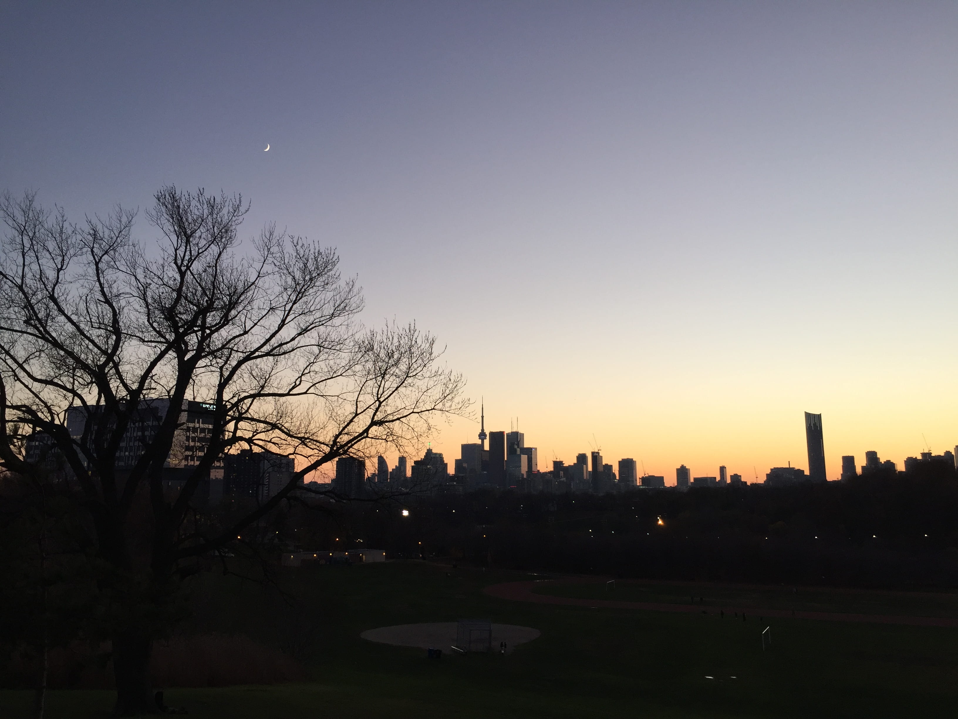 building, skyscraper, toronto, canada, sky, landscape, outdoors, city skyline, silhouette, 502-548 broadview ave, tree, urban skyline, office building exterior, HD Wallpaper