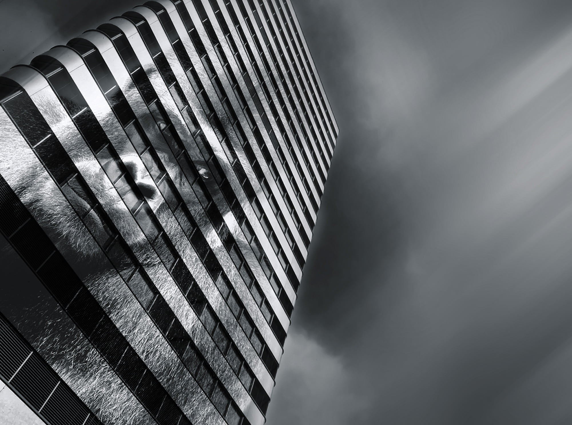 monkey, striped, city, lights show, figure, eyes, silver colored, vatican show, building, attention, concrete, outdoors, day, clouds, 1080P, no people, HD Wallpaper