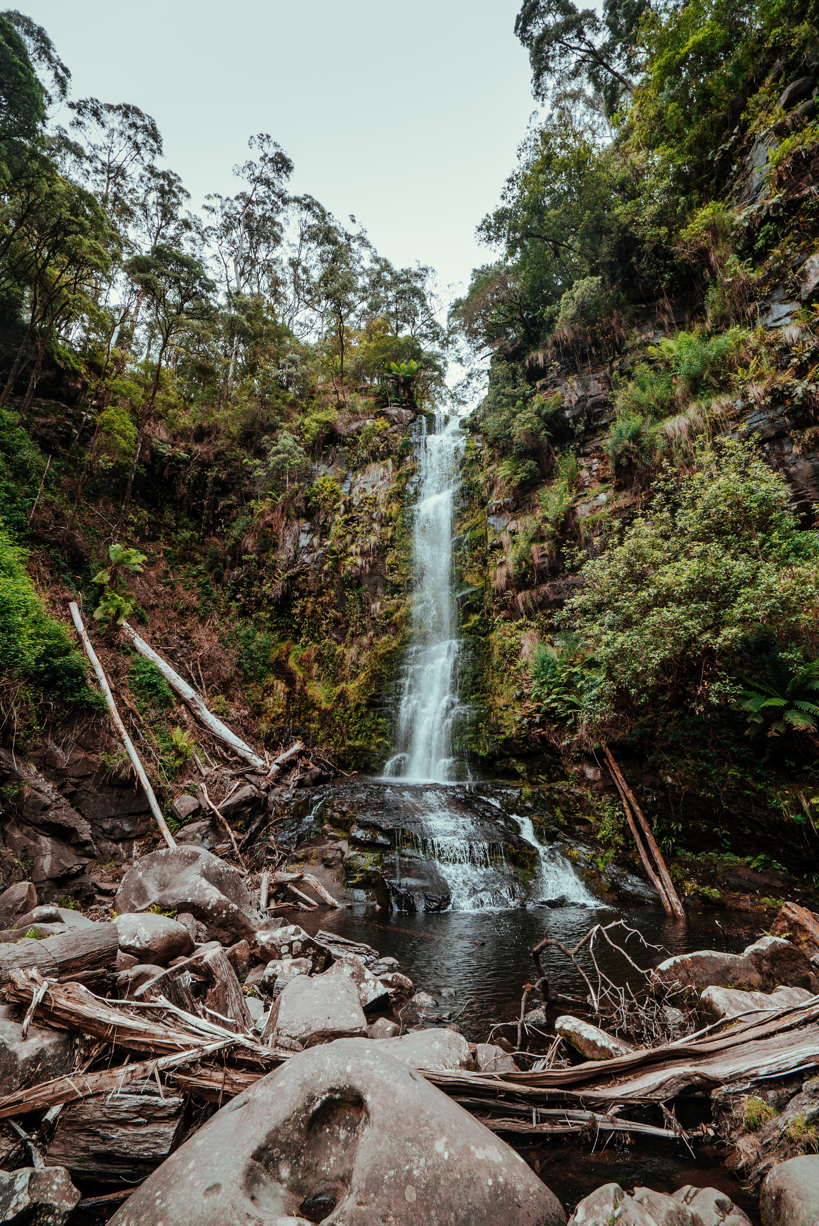 nature, beauty in nature, photography, scenics - nature, wood, 4K, waterfalls, trees, forest, no people, waterfall, outdoors, water, australium, plant, Phone HD Wallpaper