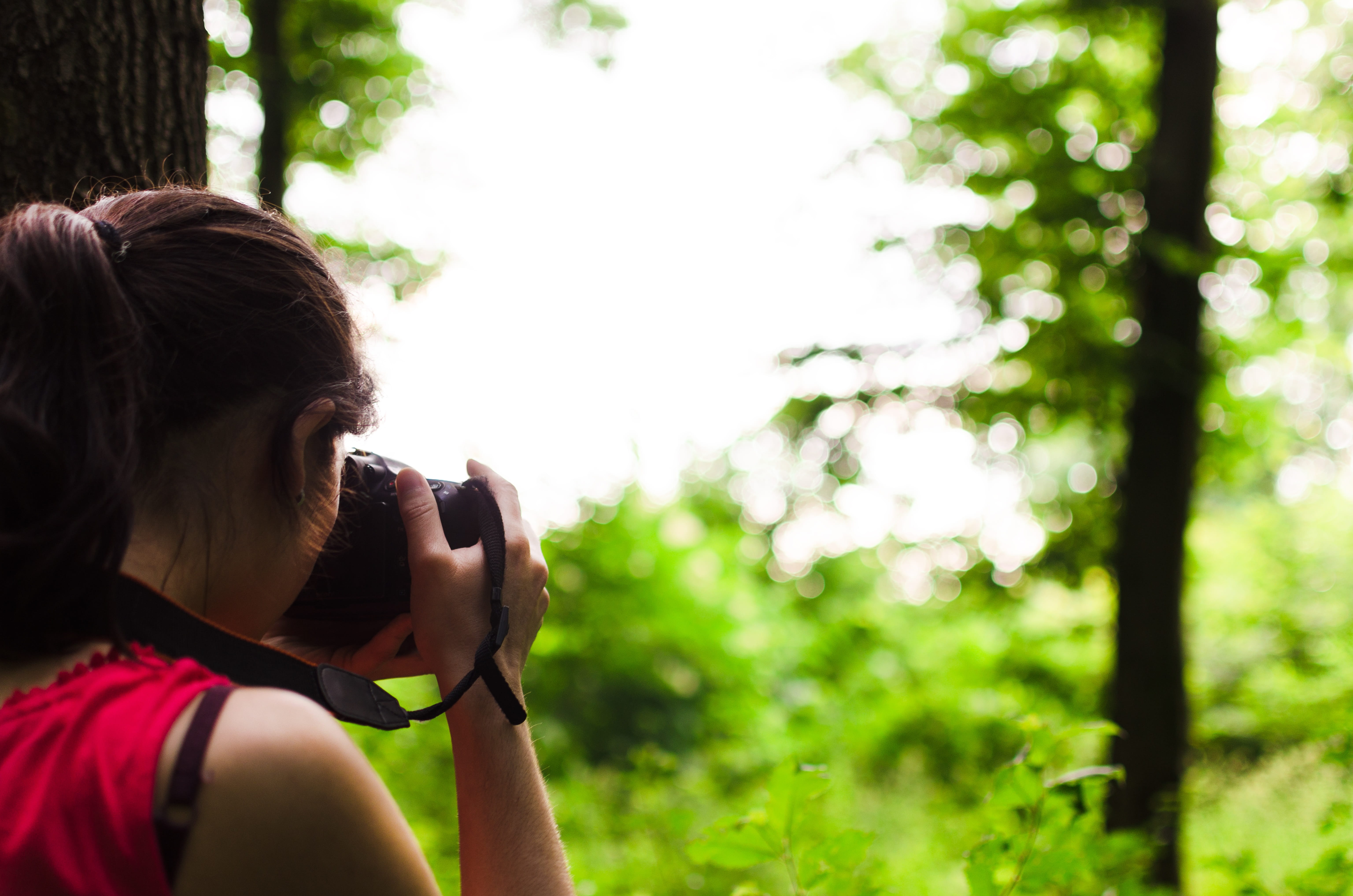 nature, focus, shooting, activity, wild, holding, lady, trees, tree, real people, portrait, lifestyles, one person, brown hair, person, pretty, leisure activity, HD Wallpaper