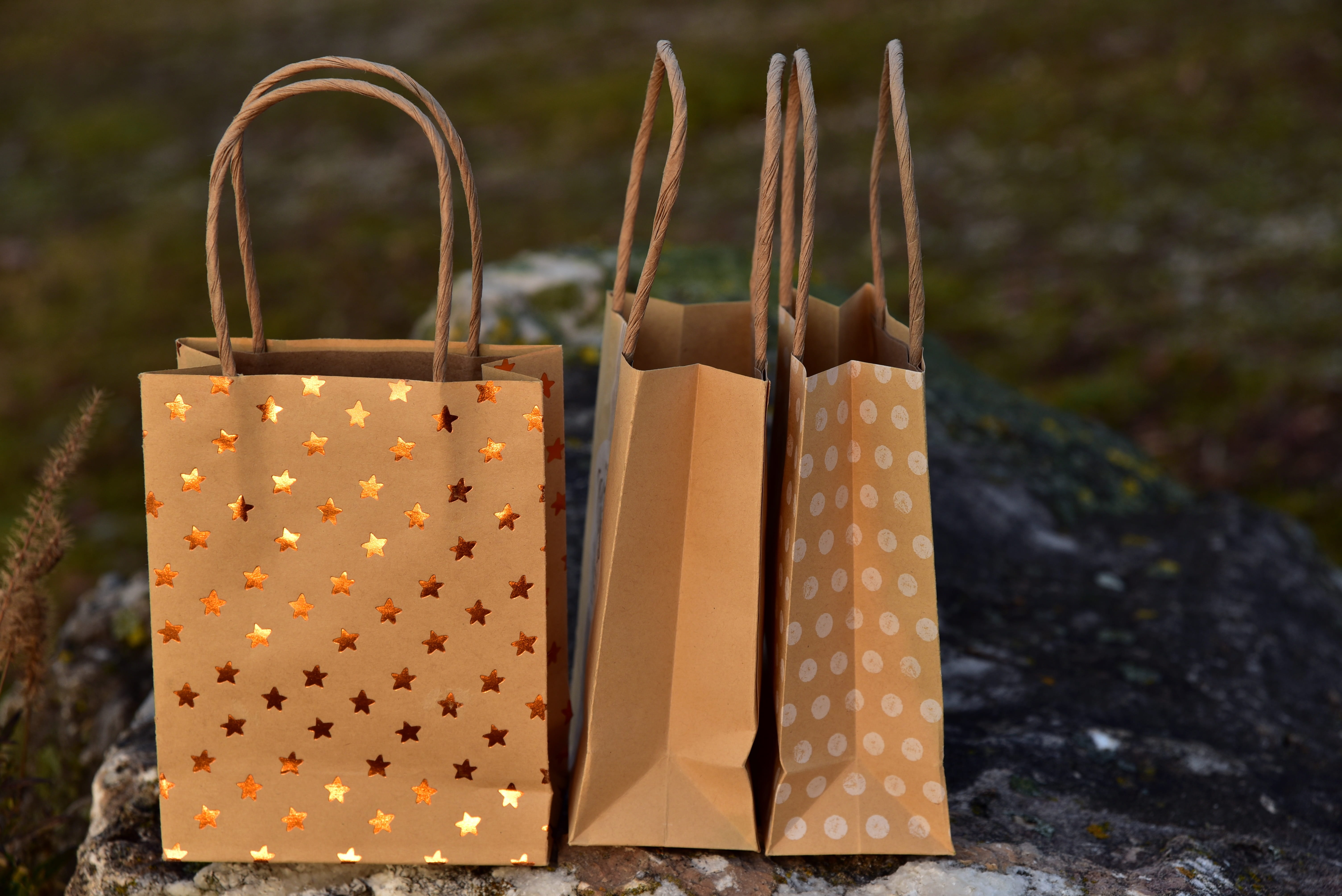 bag, selective focus, buy, hanging, paper bag, close up, plant, no people, spotted, still life, packaging, metal, brown, concerns, floral pattern, nature, HD Wallpaper