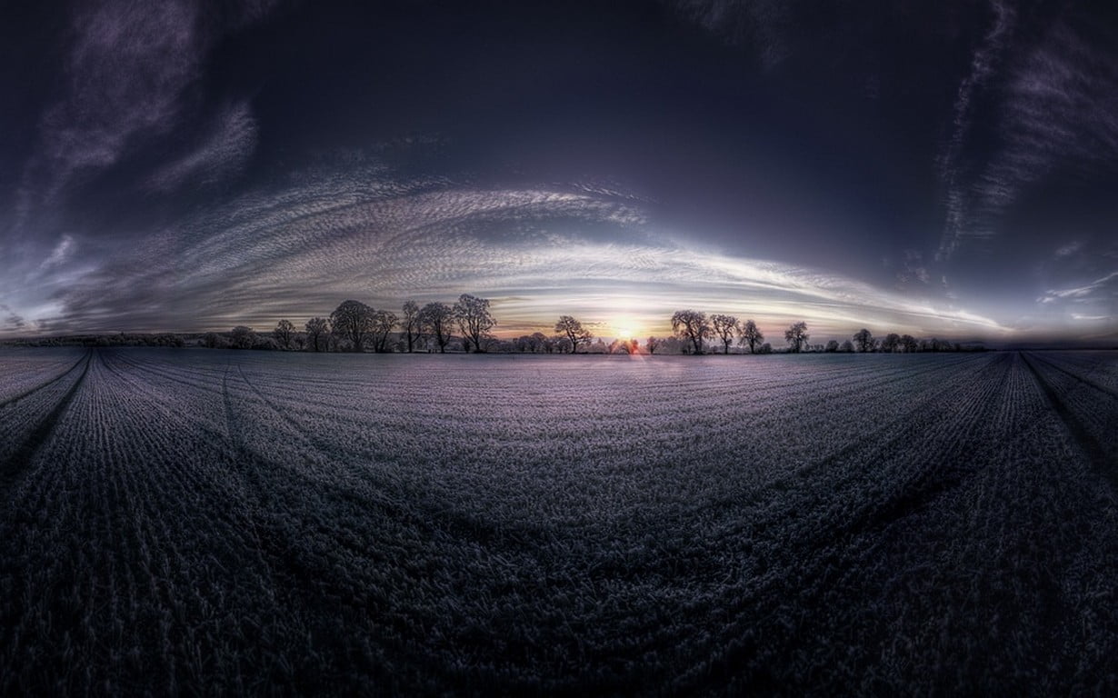 beauty in nature, sun, tranquility, scenics - nature, agriculture, plant, sky, no people, field, tranquil scene, panoramas, outdoors, cold temperature, HD Wallpaper