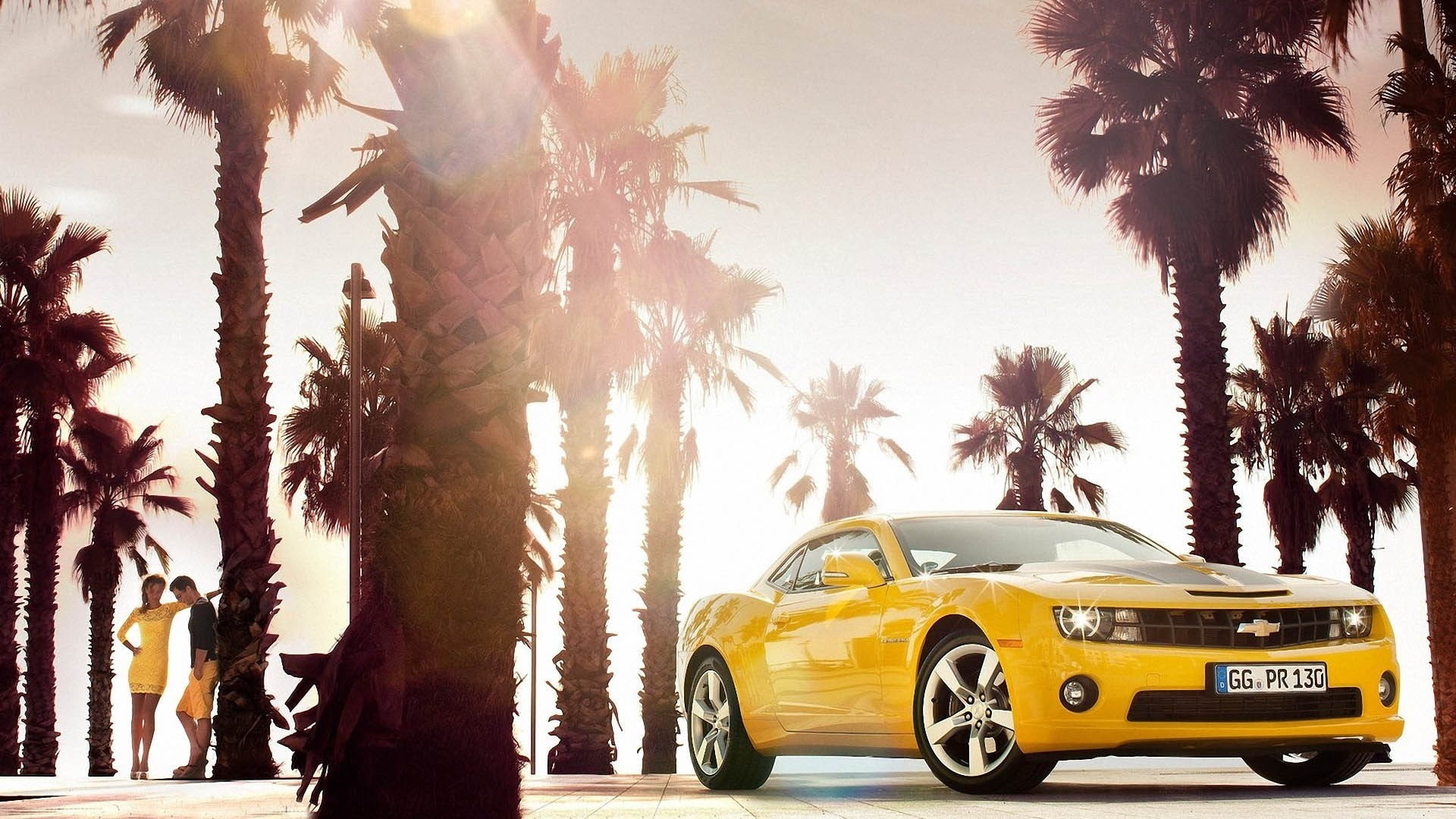 yellow cars, 1080P, art, trees, Chevrolet Camaro, palm, EU, cars, yellow, PALM TREES, chevrolet, hd, camaro, HD Wallpaper