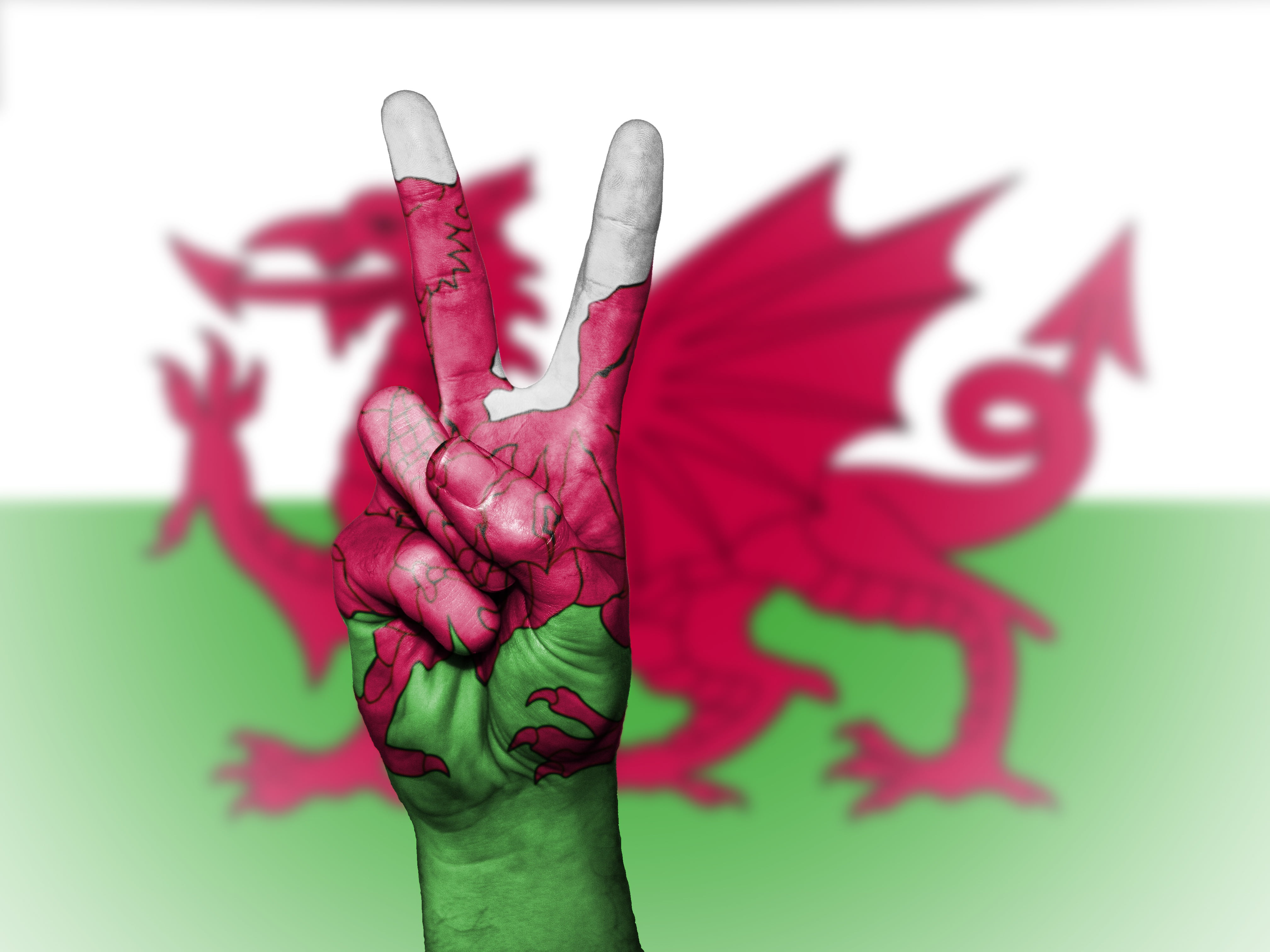 country, 4K, human finger, colors, peace, flag, adult, festival, hand, finger, nation, national, tourism, ensign, red, close-up, background, people, gesturing, HD Wallpaper