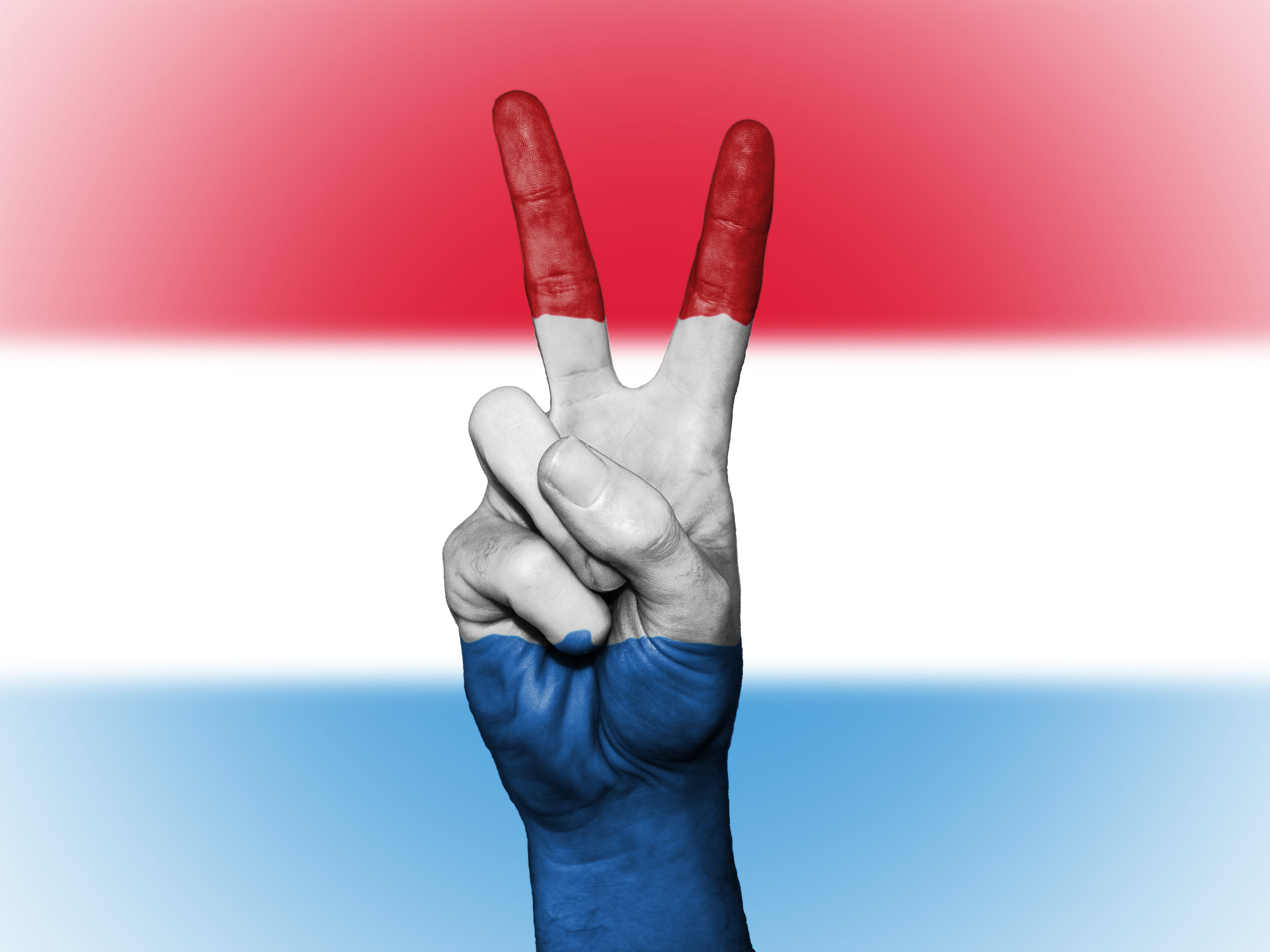 human hand, communication, country, nation, travel, studio shot, tourism, red, one person, adult, showing, blue, icon, national, 4K, hand sign, human finger, HD Wallpaper