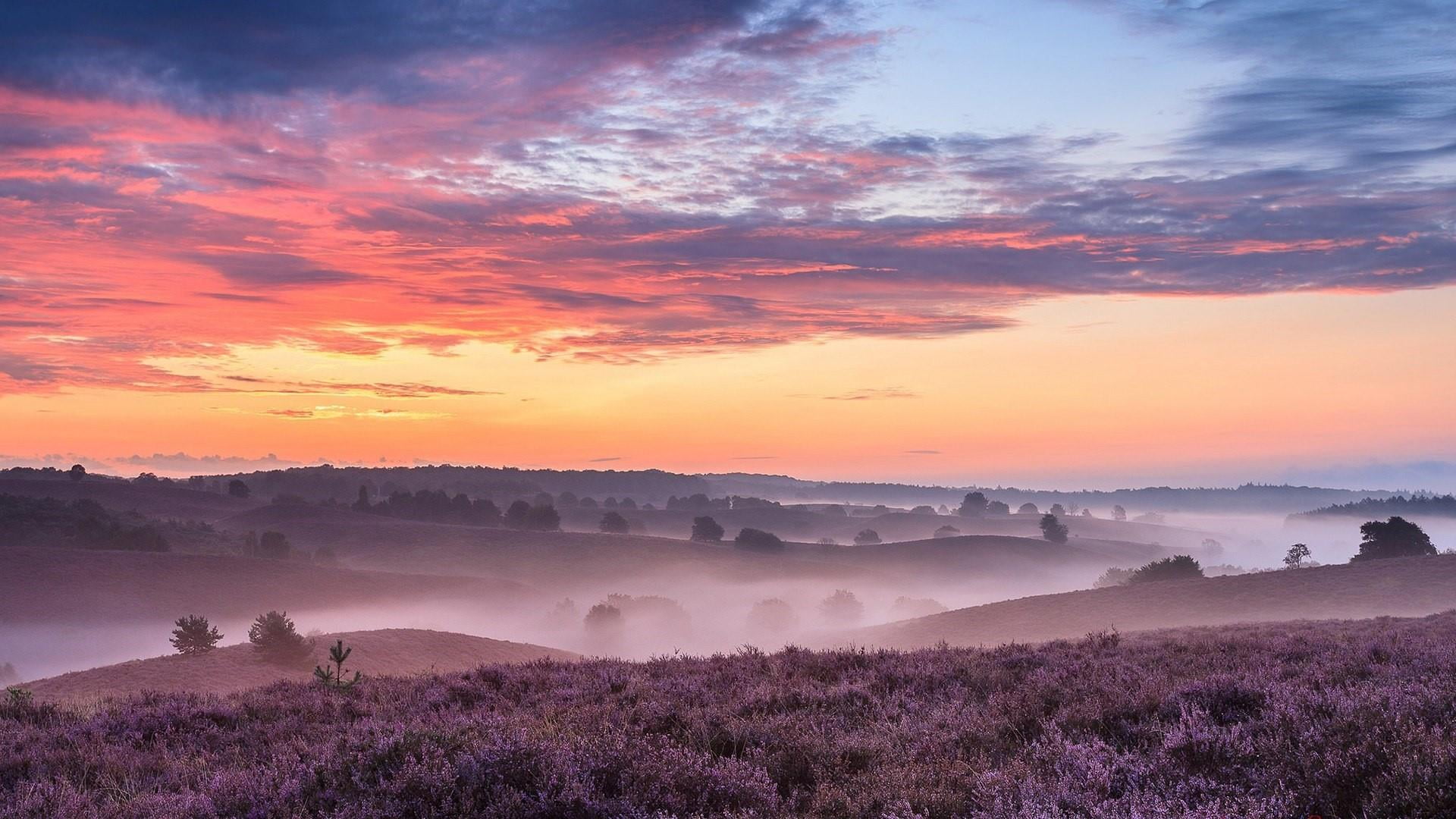 sun, tranquil scene, scenics - nature, national park veluwezoom, purple, 1080P, fog, netherlands, outdoors, tranquility, red sky at morning, nature, mountain, HD Wallpaper