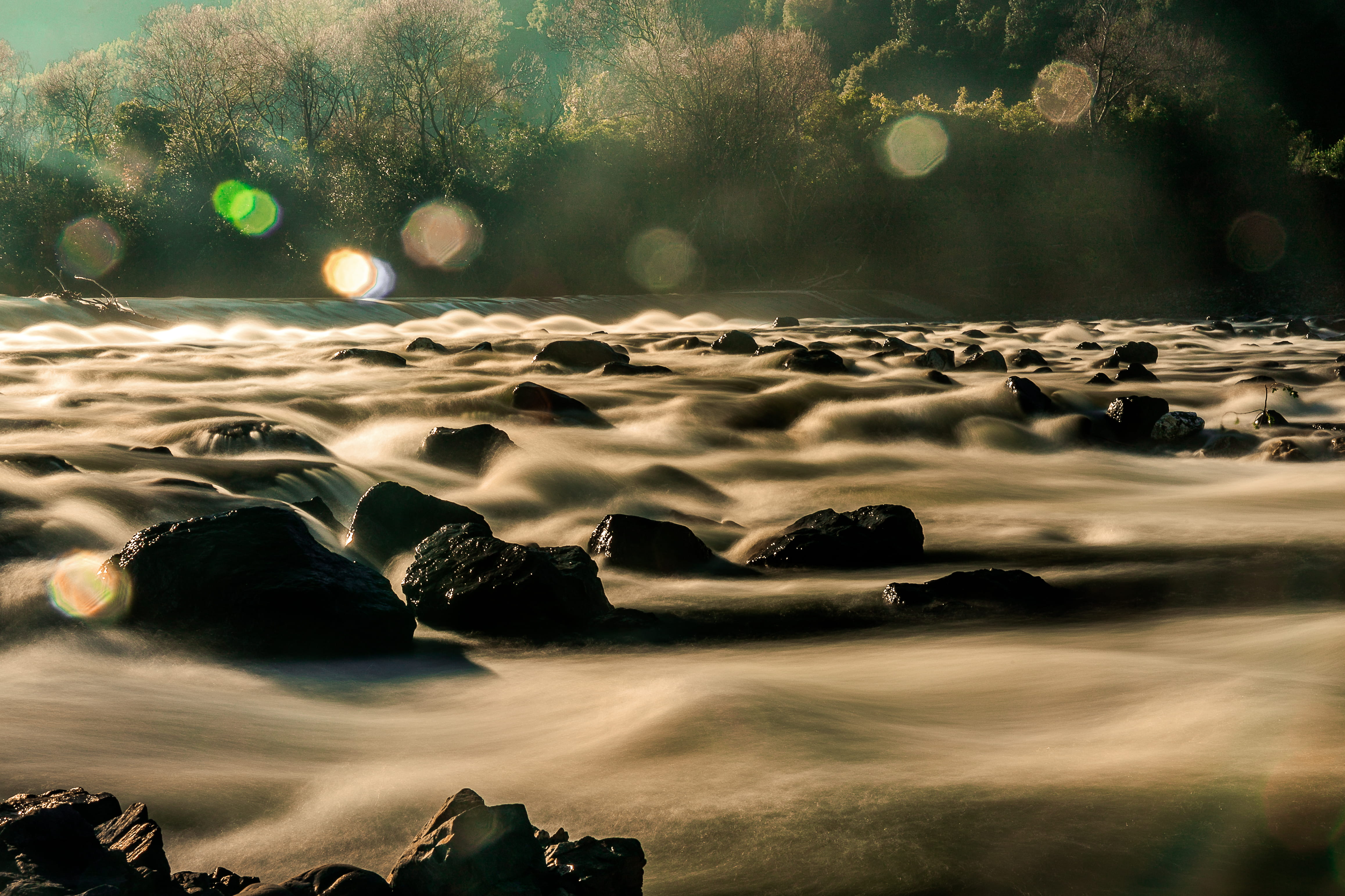 tree, scenics - nature, solid, land, sky, new zealand, hutt river, rock, day, long exposure, rock - object, motion, sunlight, rapids, idyllic, beauty in nature, HD Wallpaper