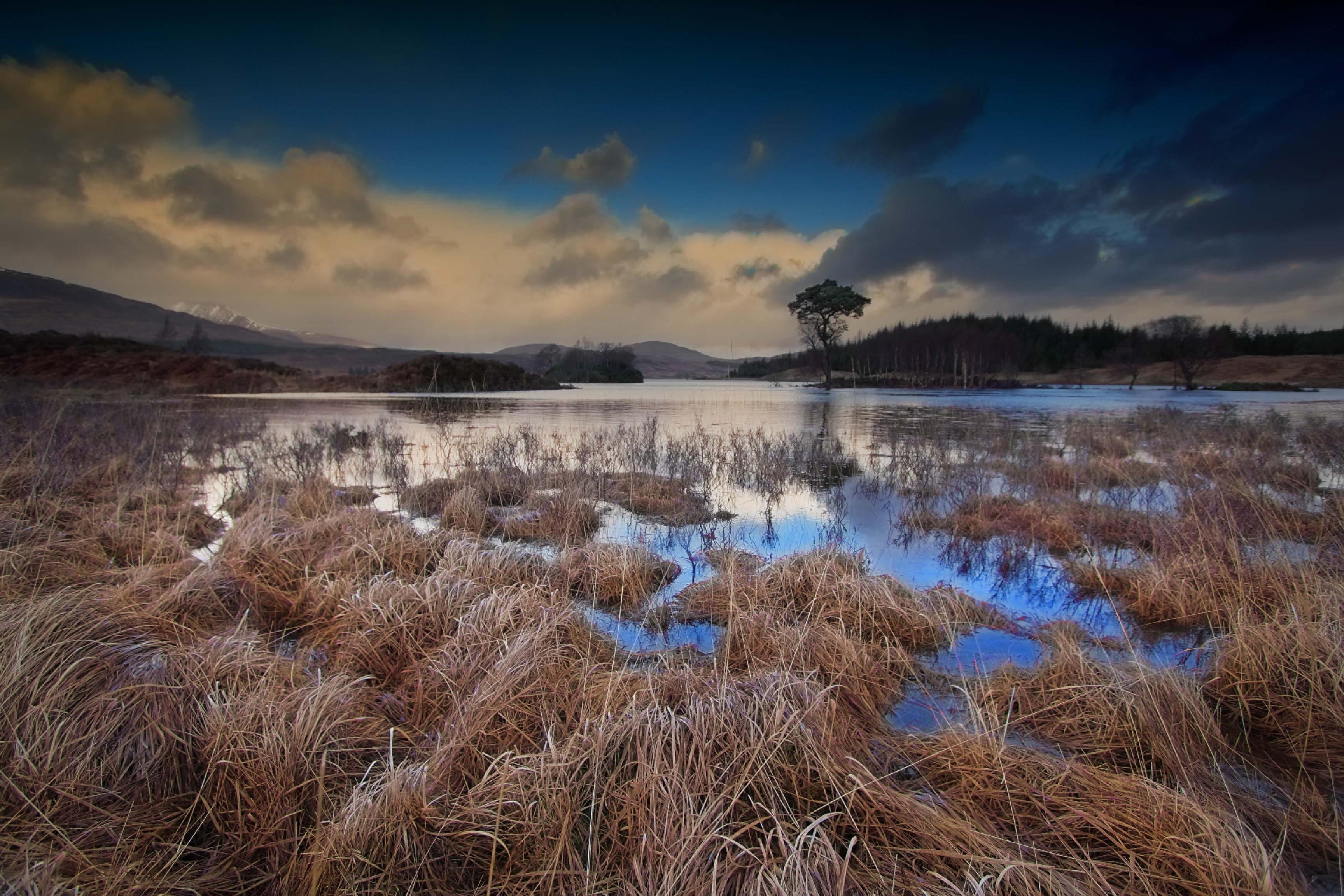 photo, water, landscape, scenery, 2K, lake, blue, cloudy, silhouette, scenics, outdoors, nature, scotland, bayou, sky, white, tree, glen orchy, grass, HD Wallpaper