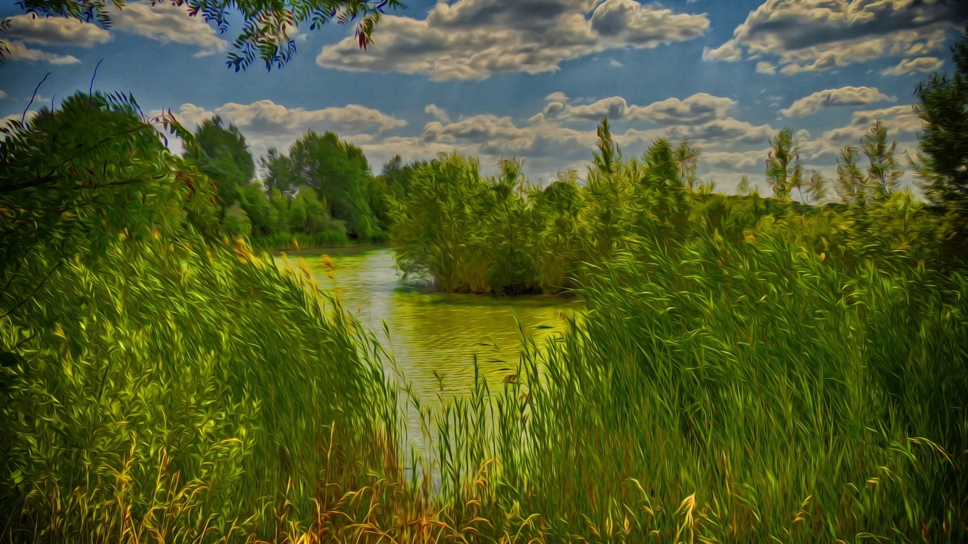 1080P, green nature, river, bayou, green, wetland, lake, HD Wallpaper