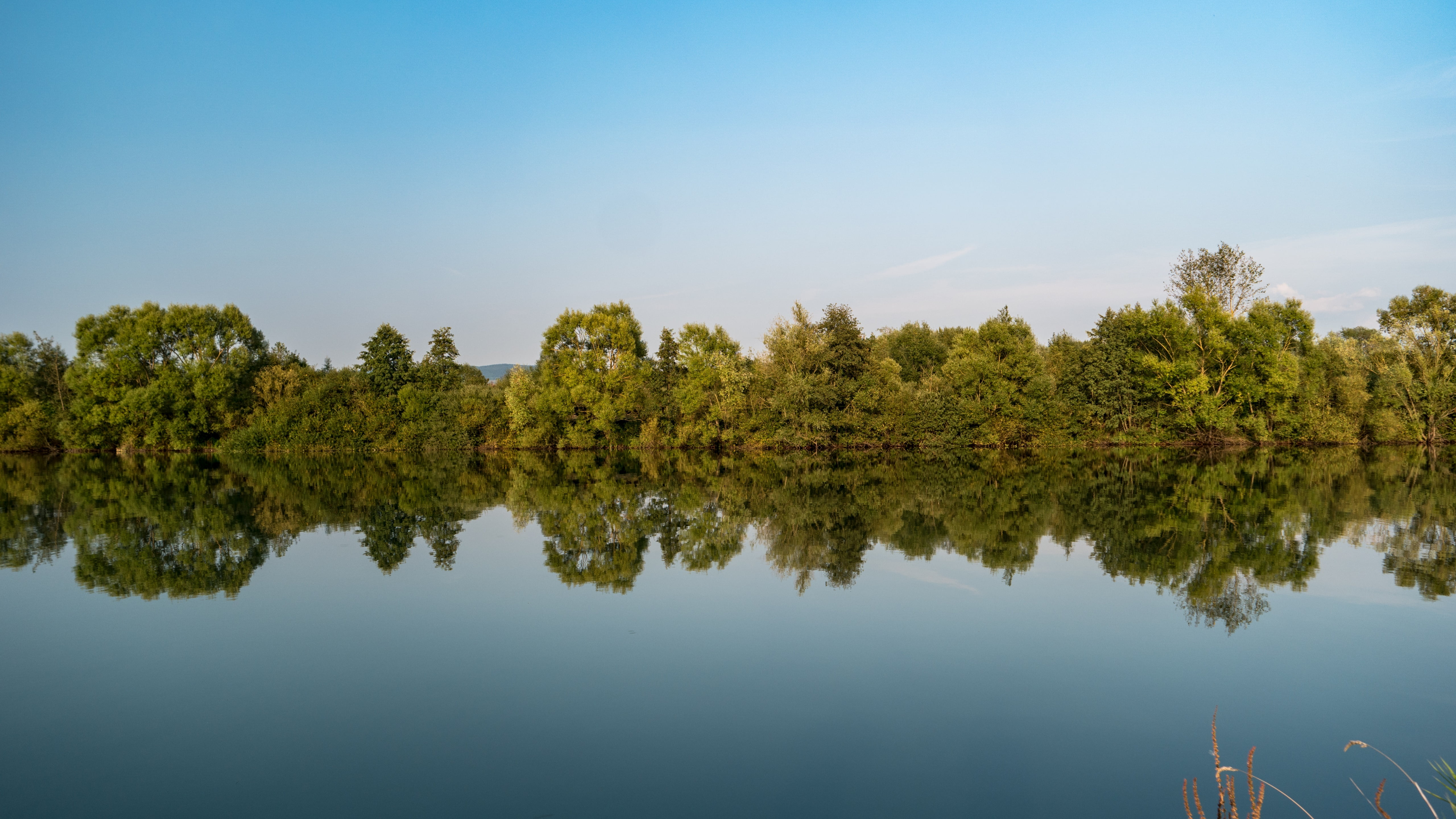 growth, bayou, reflection, sky, no people, waterfront, daytime, plant, day, scenics - nature, reflection lake, water, nature, 5k uhd, calm, 5k, tranquility, HD Wallpaper