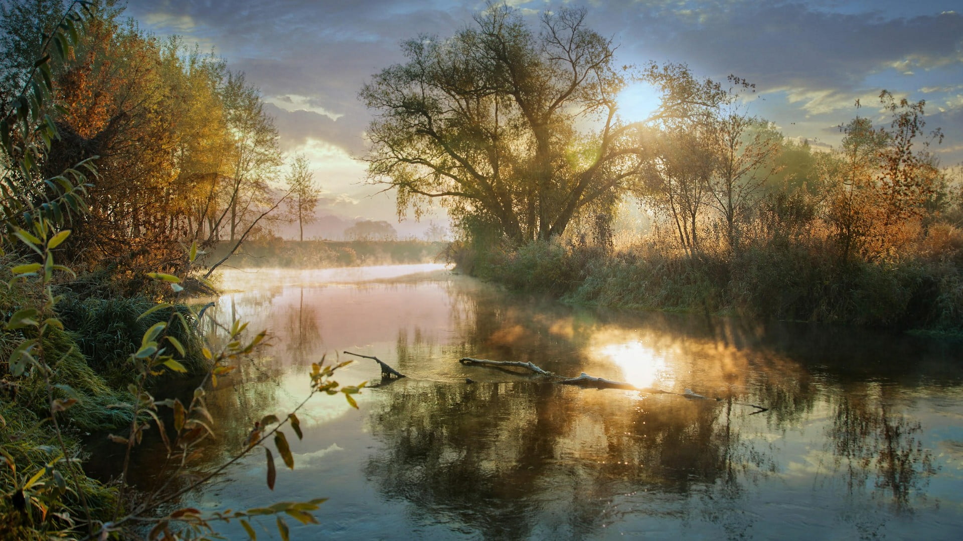dawn, beauty in nature, tranquil scene, sky, lake, water, forest, outdoors, no people, bayou, mist, sunrise, reflection lake, bank, wetland, waterfront, HD Wallpaper