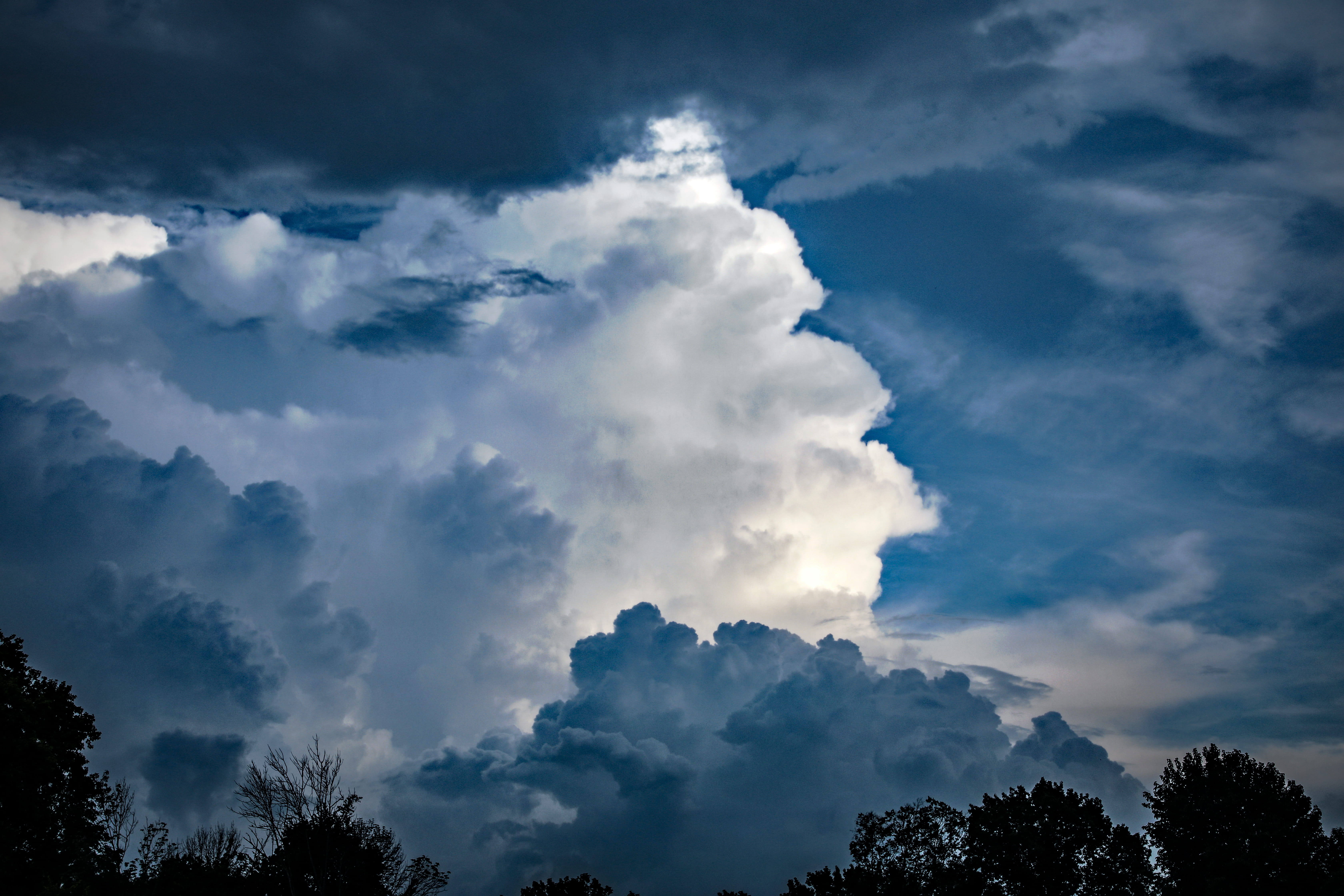 tranquility, tranquil scene, nature, cumulus, dark, summer, idyllic, low angle view, non-urban scene, beauty in nature, treetop, blue, no people, 5K, clouds, HD Wallpaper