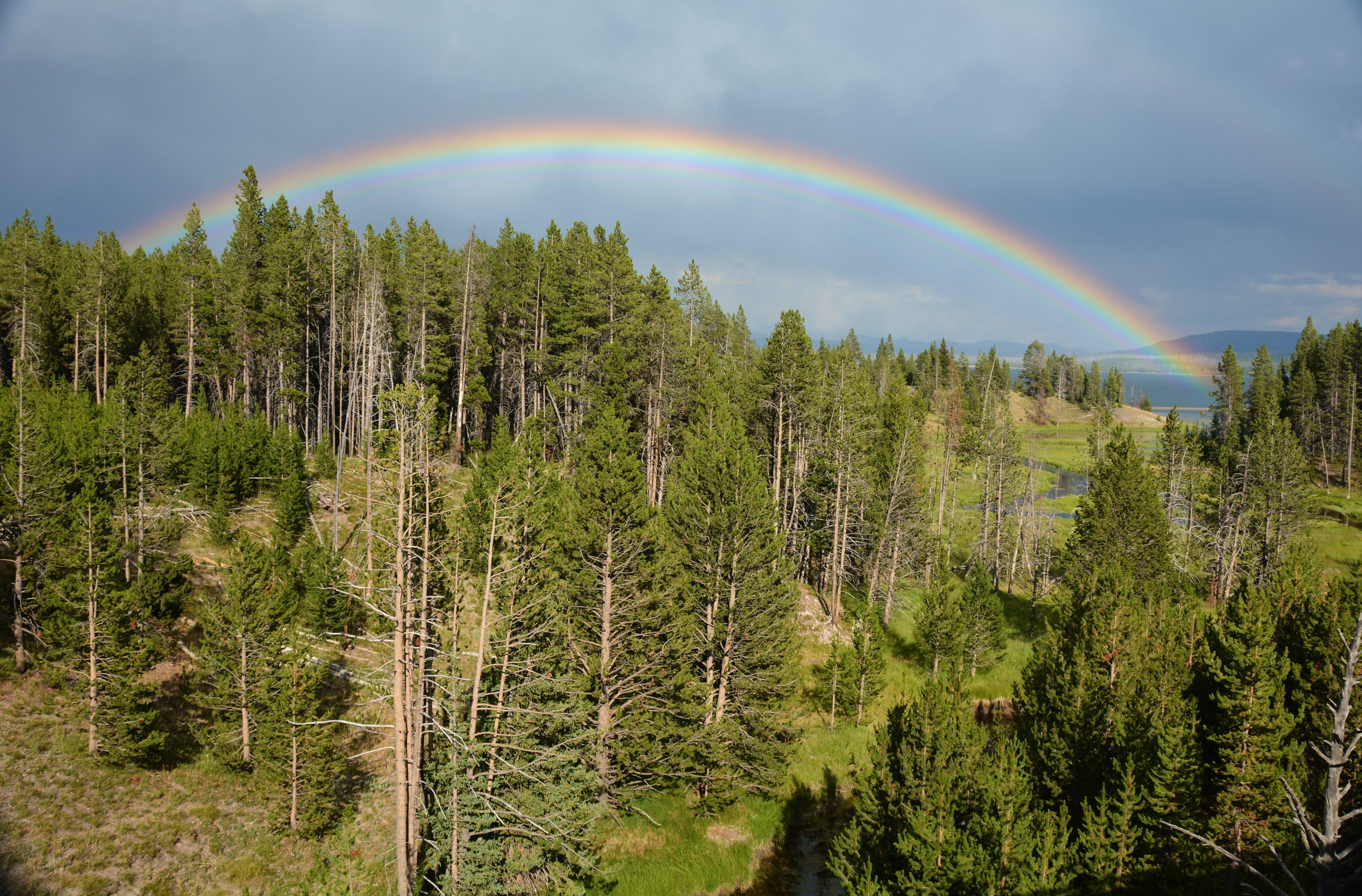 rain, mountain, colorful, weather phenomenon, no people, bird, green color, photo, plant, nature, lake, double rainbow, tranquil scene, tree, storm, view, HD Wallpaper