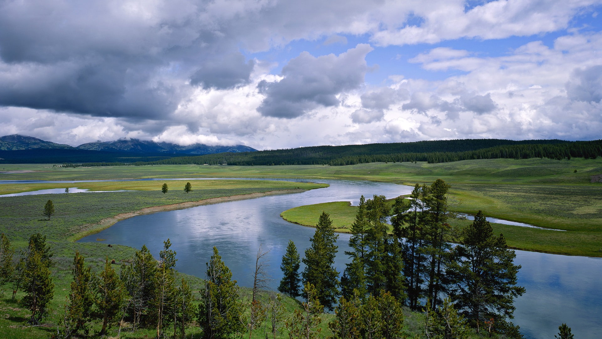 hd, trees, beside, water, cloudy, green, white, body, field, 1080P, nature, landscape, river, dark, skies, HD Wallpaper