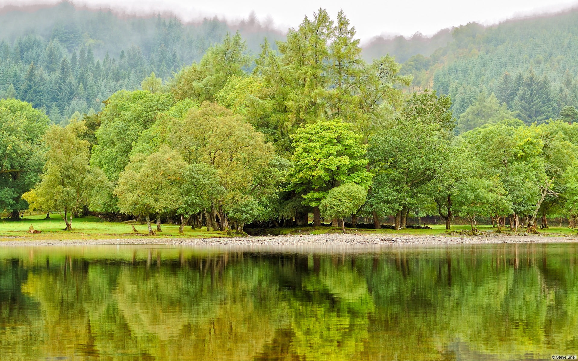 nature, outdoors, day, waterfront, beauty in nature, no people, idyllic, loch, scenics - nature, tranquility, growth, lake, non-urban scene, HD Wallpaper