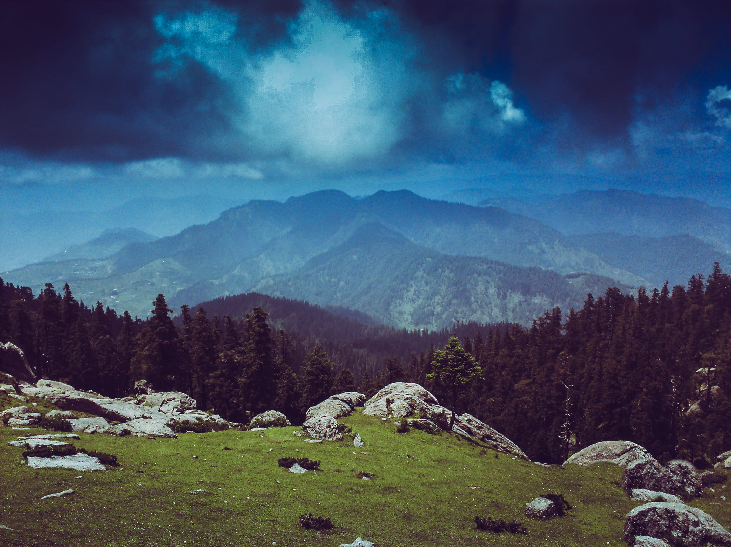 plant, ash cloud, 2K, tranquil scene, woodland, hike, cloudburst, non-urban scene, landscape, tree, hill, rocks, coniferous tree, dark green, himalayas, HD Wallpaper