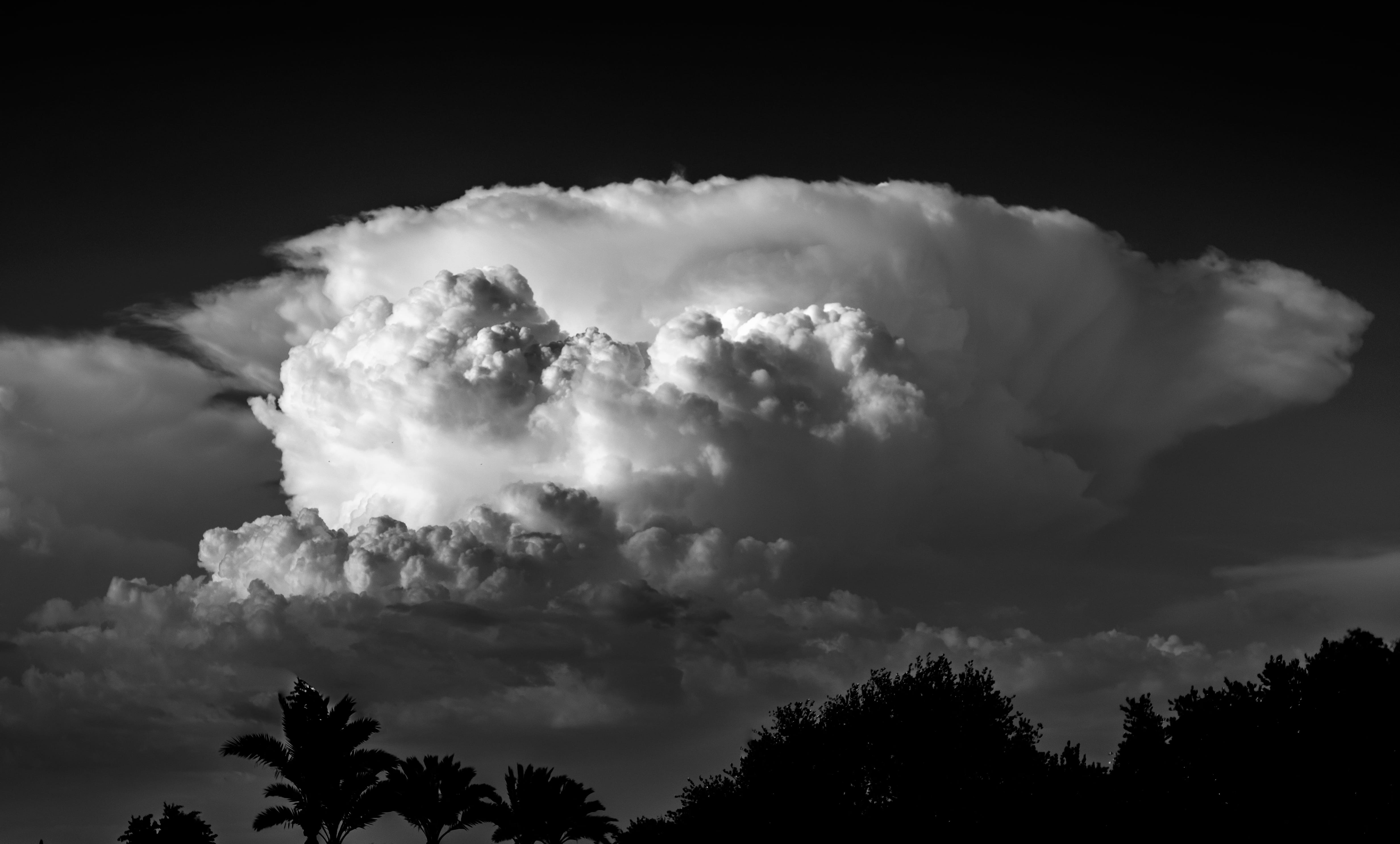 scenics - nature, clouds, pollution, tree, 4K, landscape, storm, growth, environment, usa, silhouette, outdoors, beauty in nature, tranquility, phoenix, HD Wallpaper