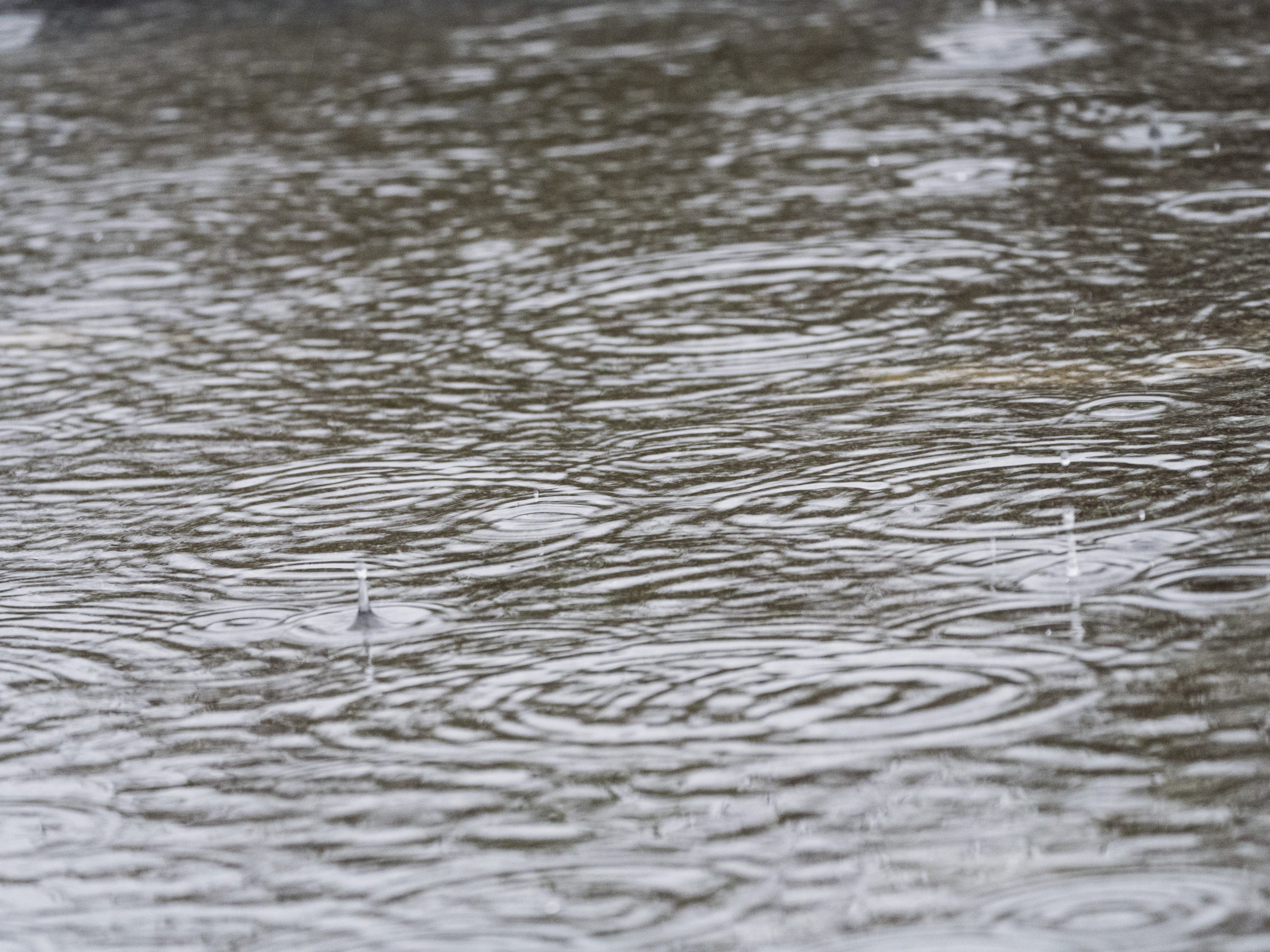 rain, slurry, raindrop, concentric, 5K, outdoors, grey, thunderstorm, backgrounds, rings, nature, urban, water, cloudburst, motion, bad weather, selective focus, HD Wallpaper