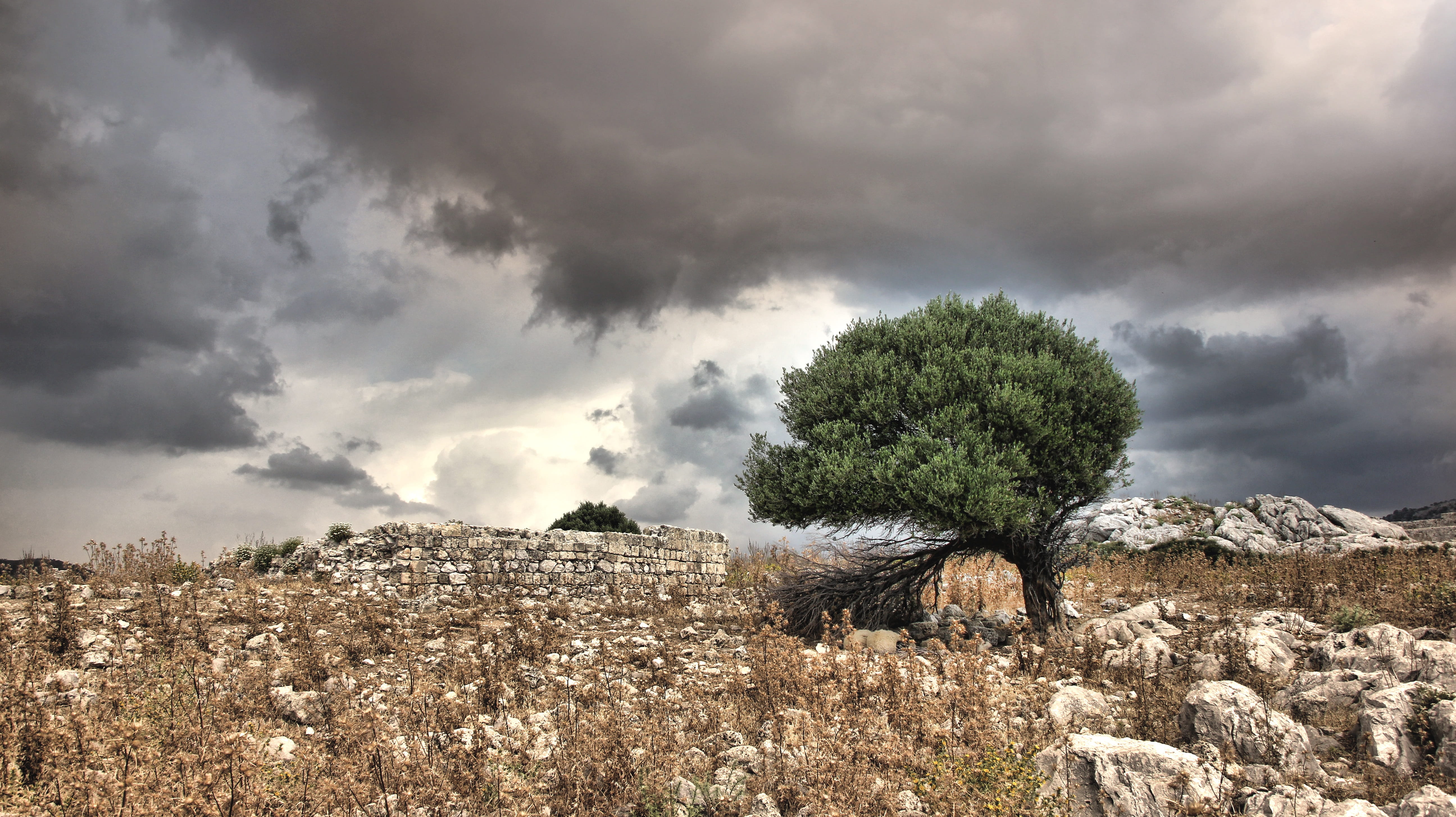 rock - object, 5K, rain, outdoors, sky, storm cloud, tree, landscape, Dramatic, greece, dramatic sky, beauty in nature, Thunderstorm, environment, weather, HD Wallpaper